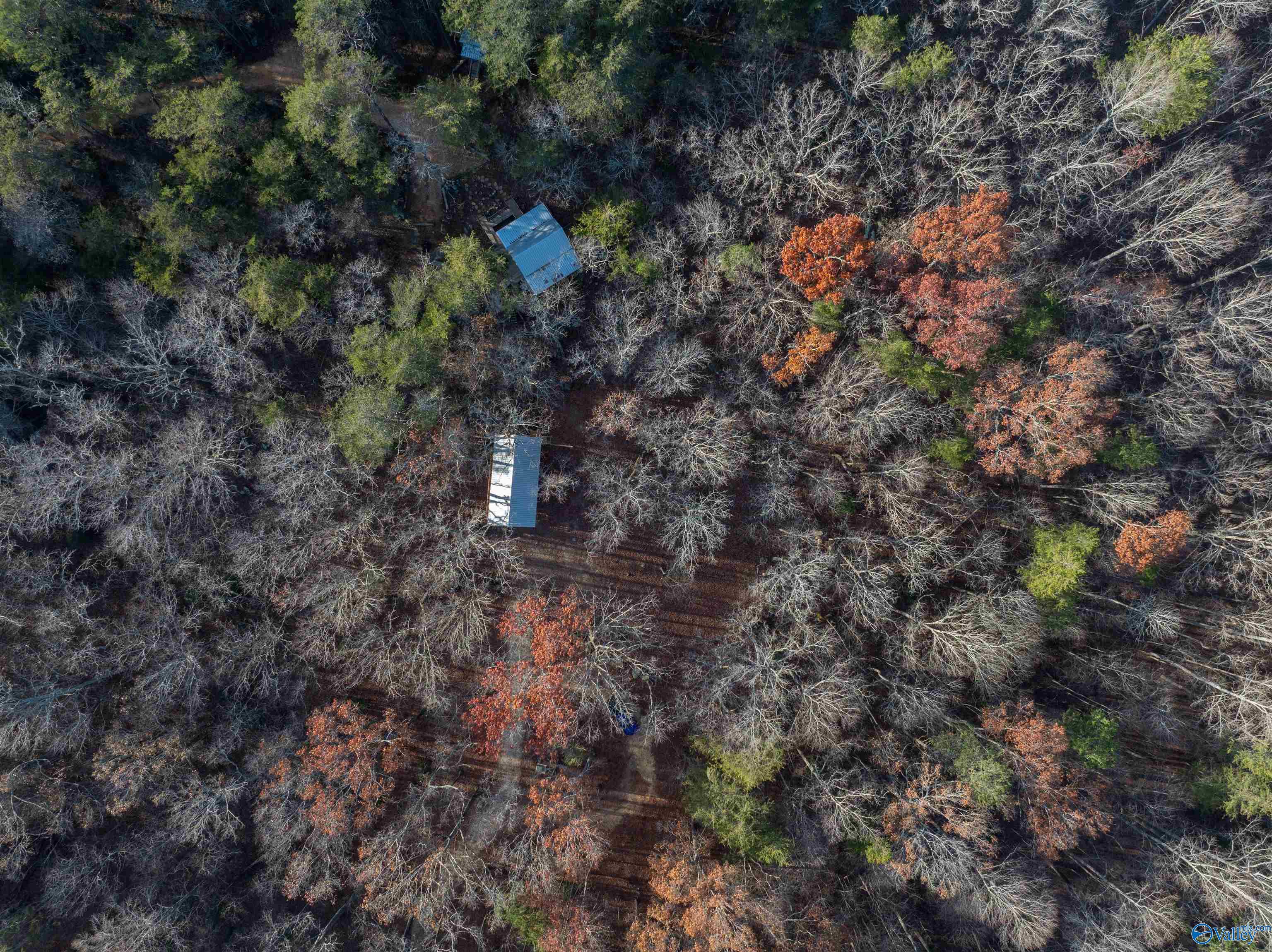 Aerial view of two blue-roof buildings nestled in dense autumn woods.