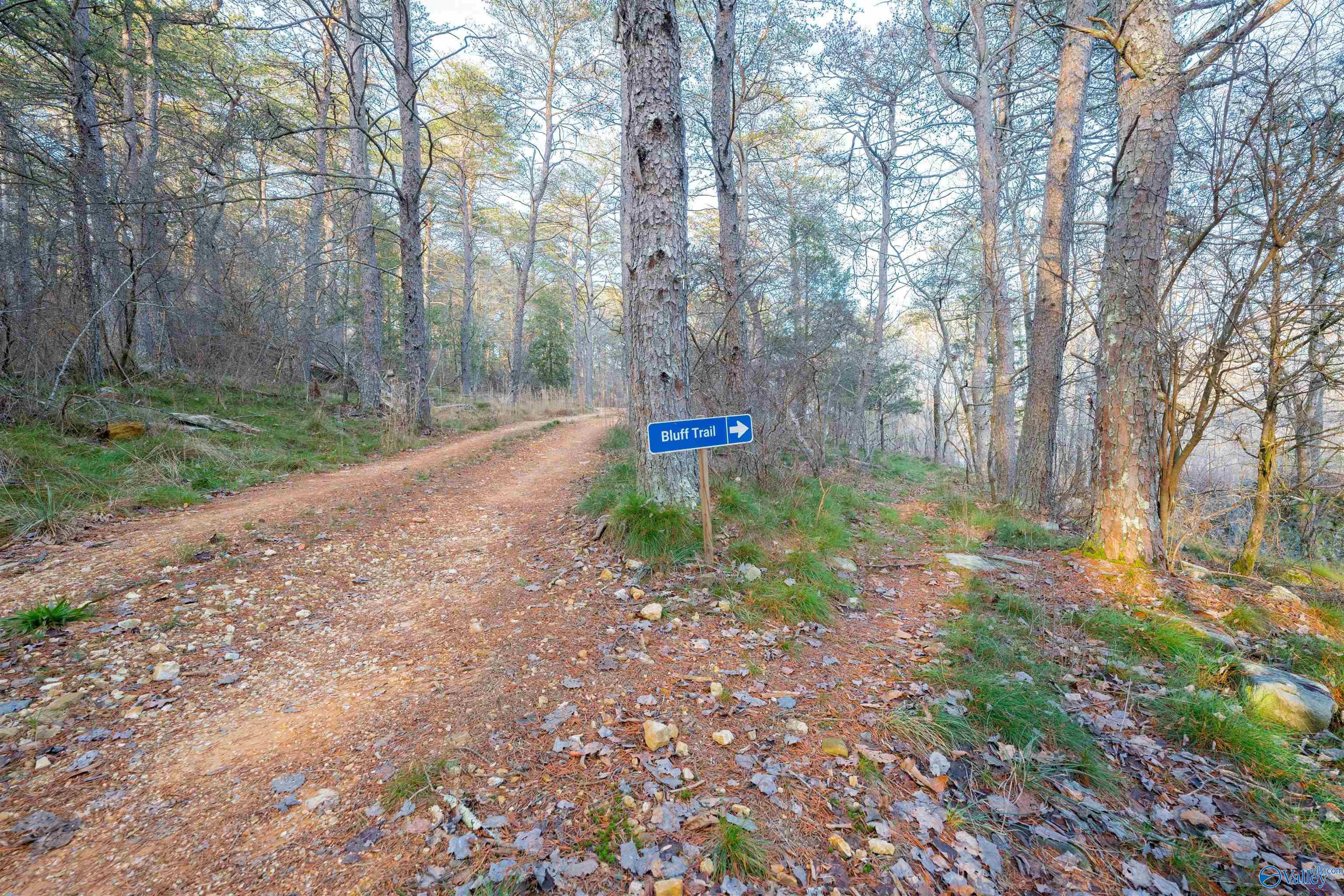 249 County Road 165