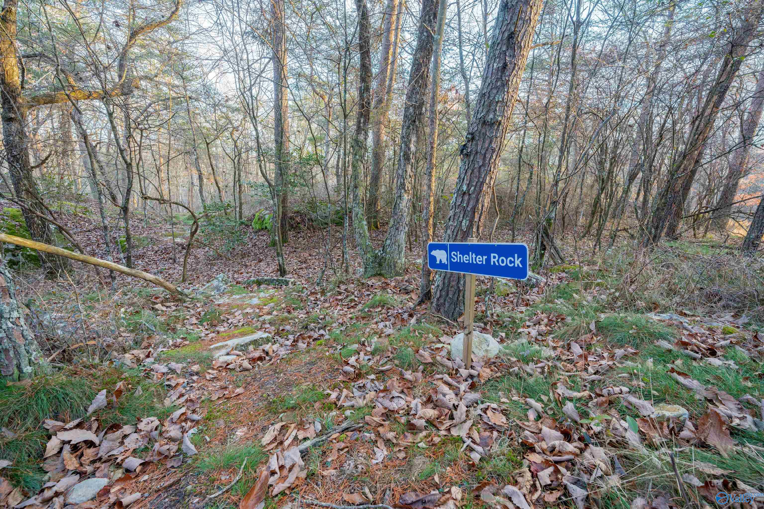 249 County Road 165