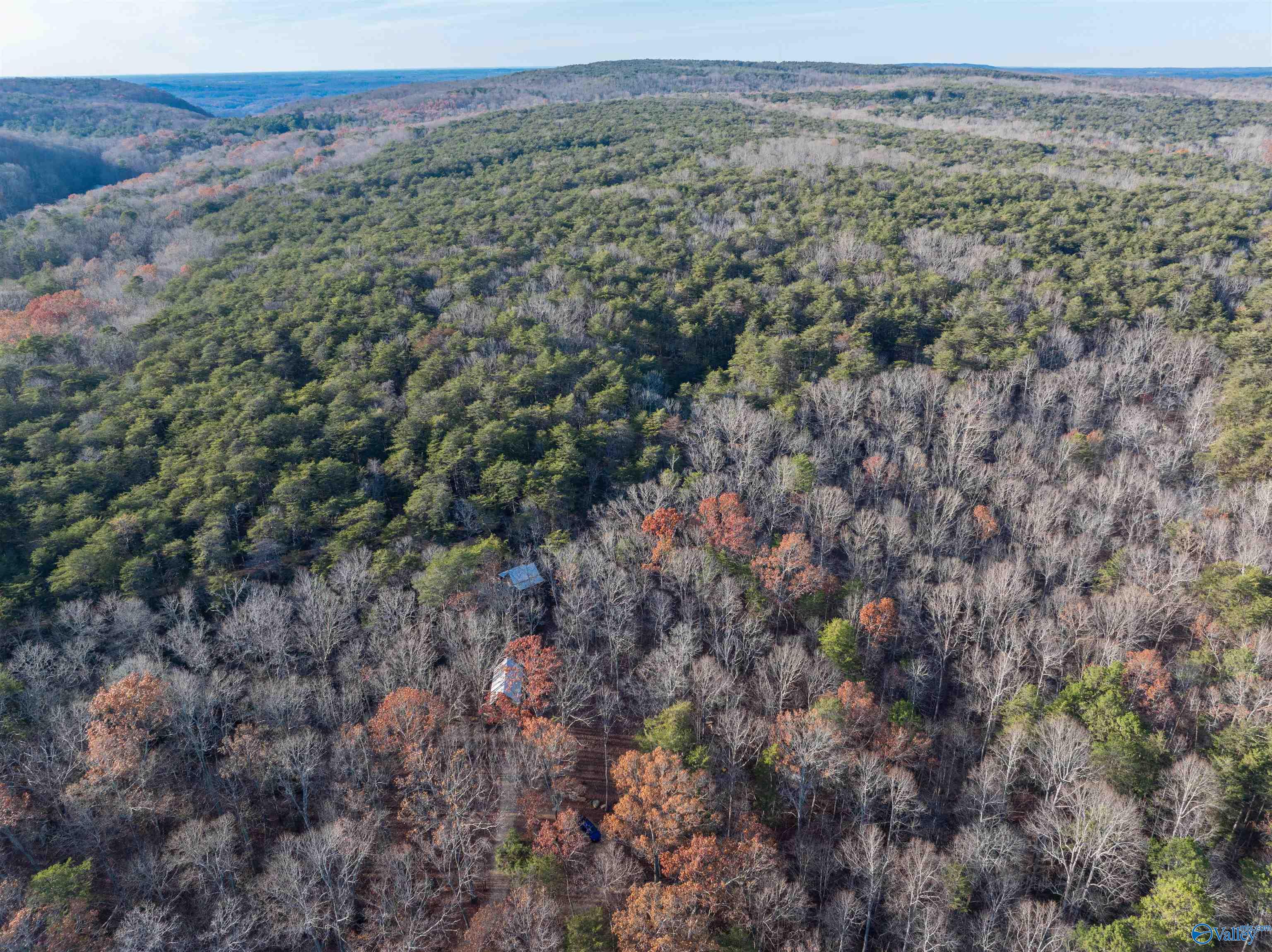 249 County Road 165