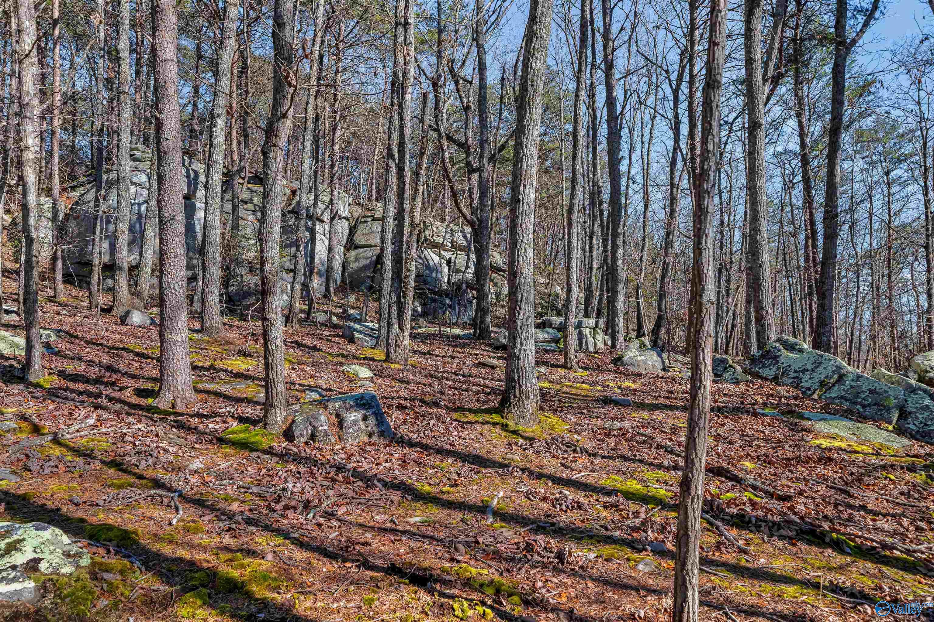 151 County Road 934