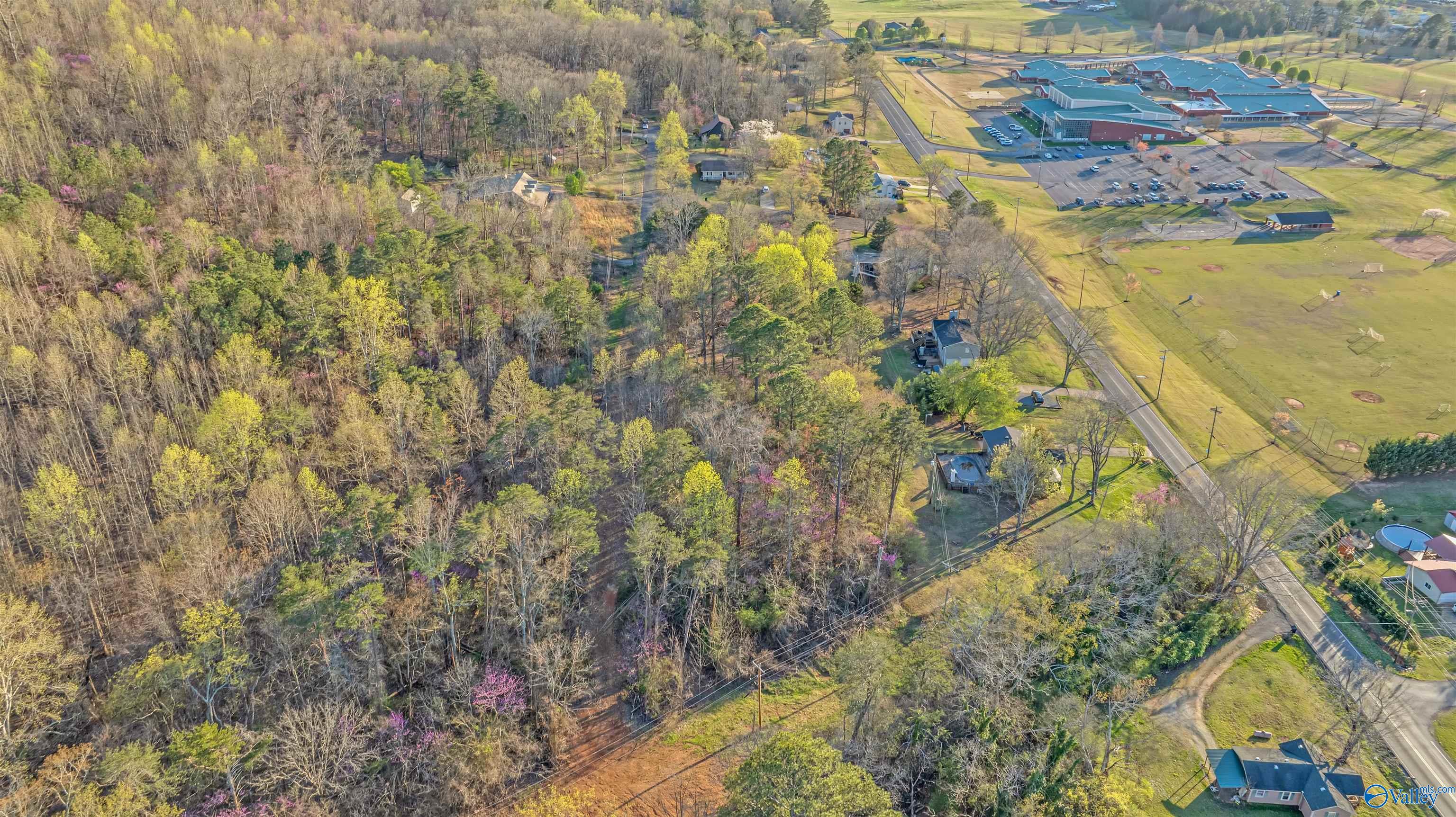 Aerial view of wooded land beside a road, near homes, a school complex, and sports fields.