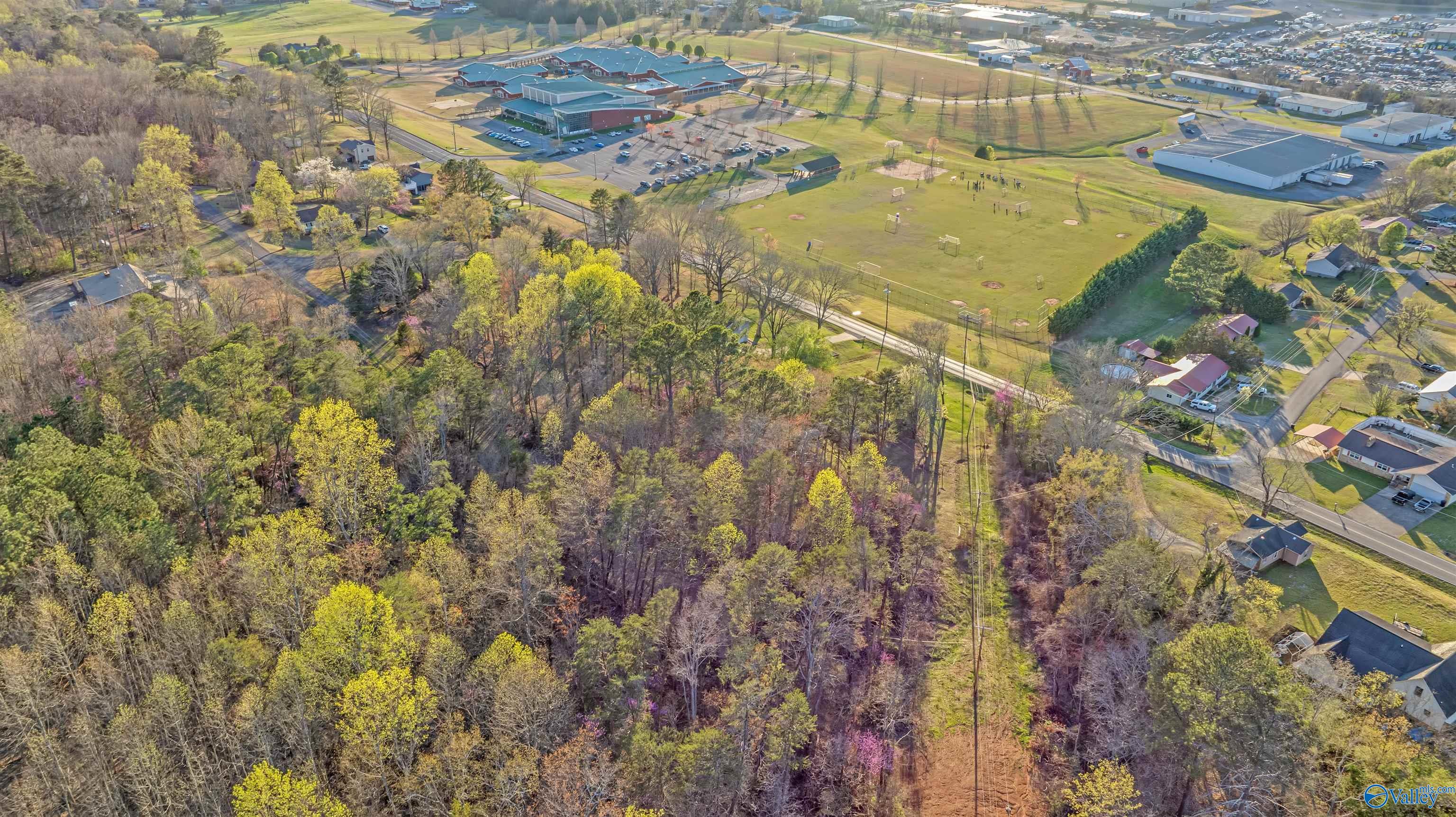 Aerial view of a wooded lot beside athletic fields, homes, and commercial buildings.