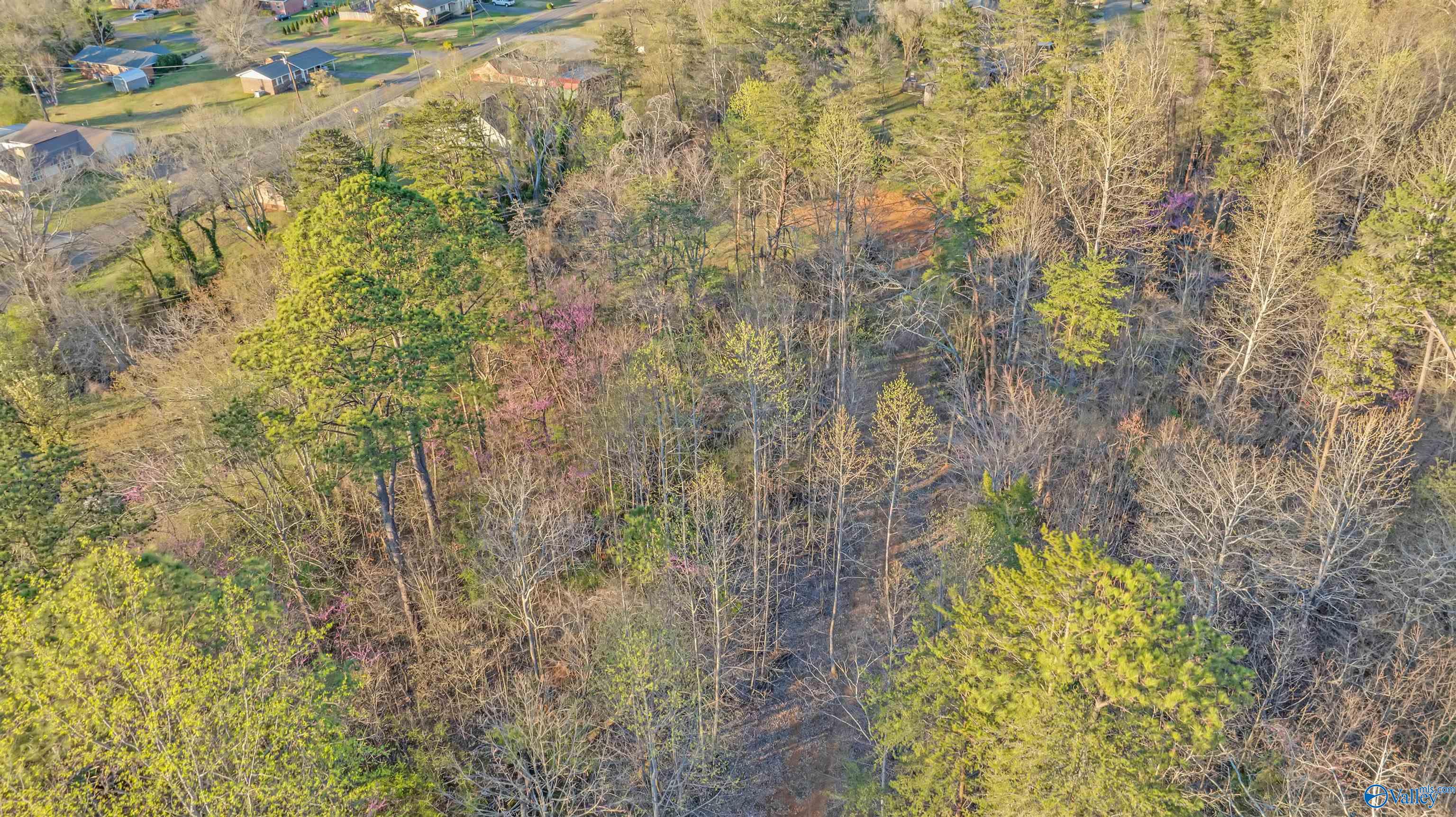Aerial view of a wooded lot with budding trees and nearby homes.