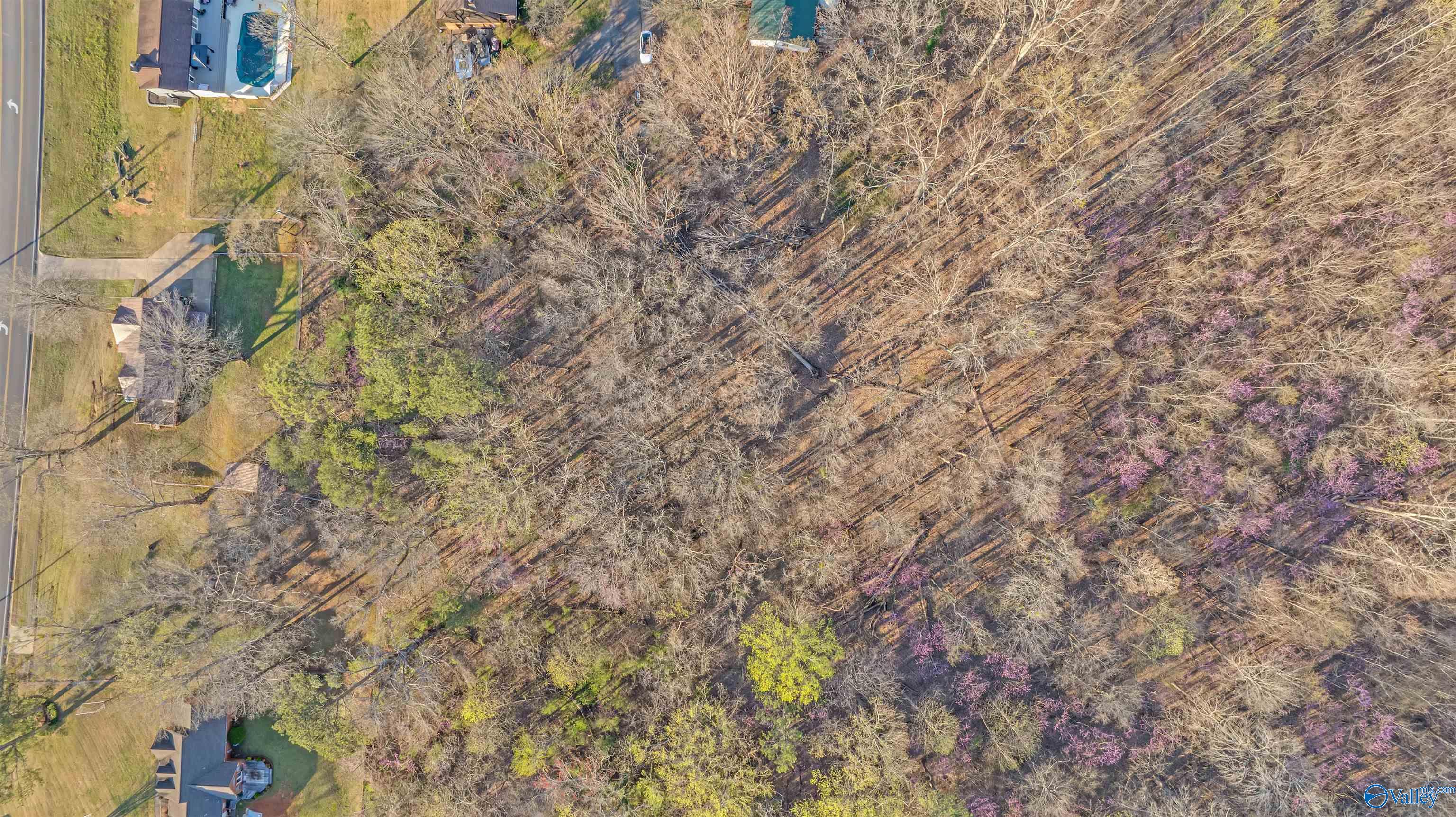 Aerial view of a wooded vacant lot beside a paved road, with neighboring homes along its edge.