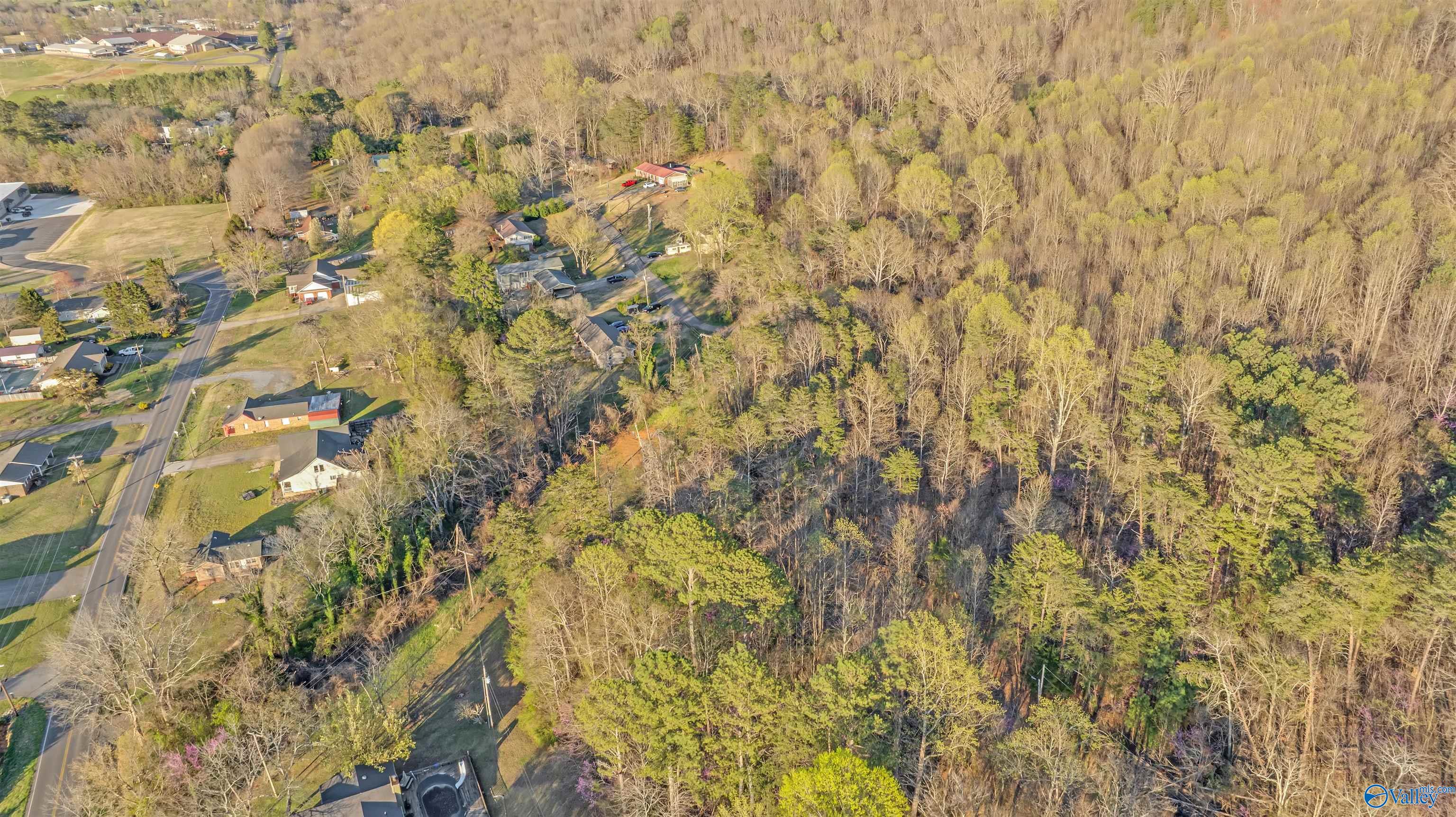Aerial view of a wooded lot beside a residential road and nearby homes.