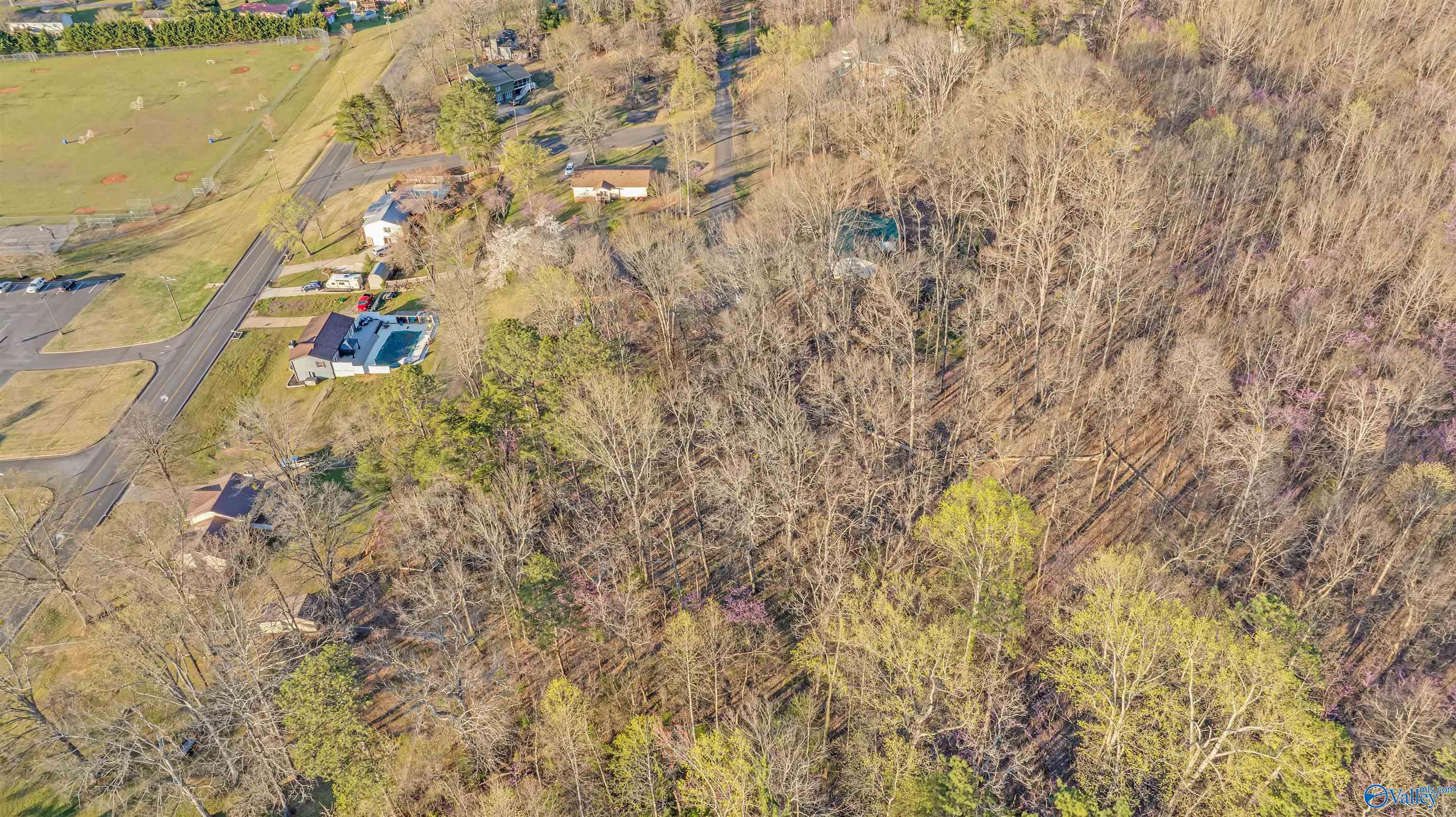 Aerial view of a wooded vacant lot beside a road and neighborhood sports field.