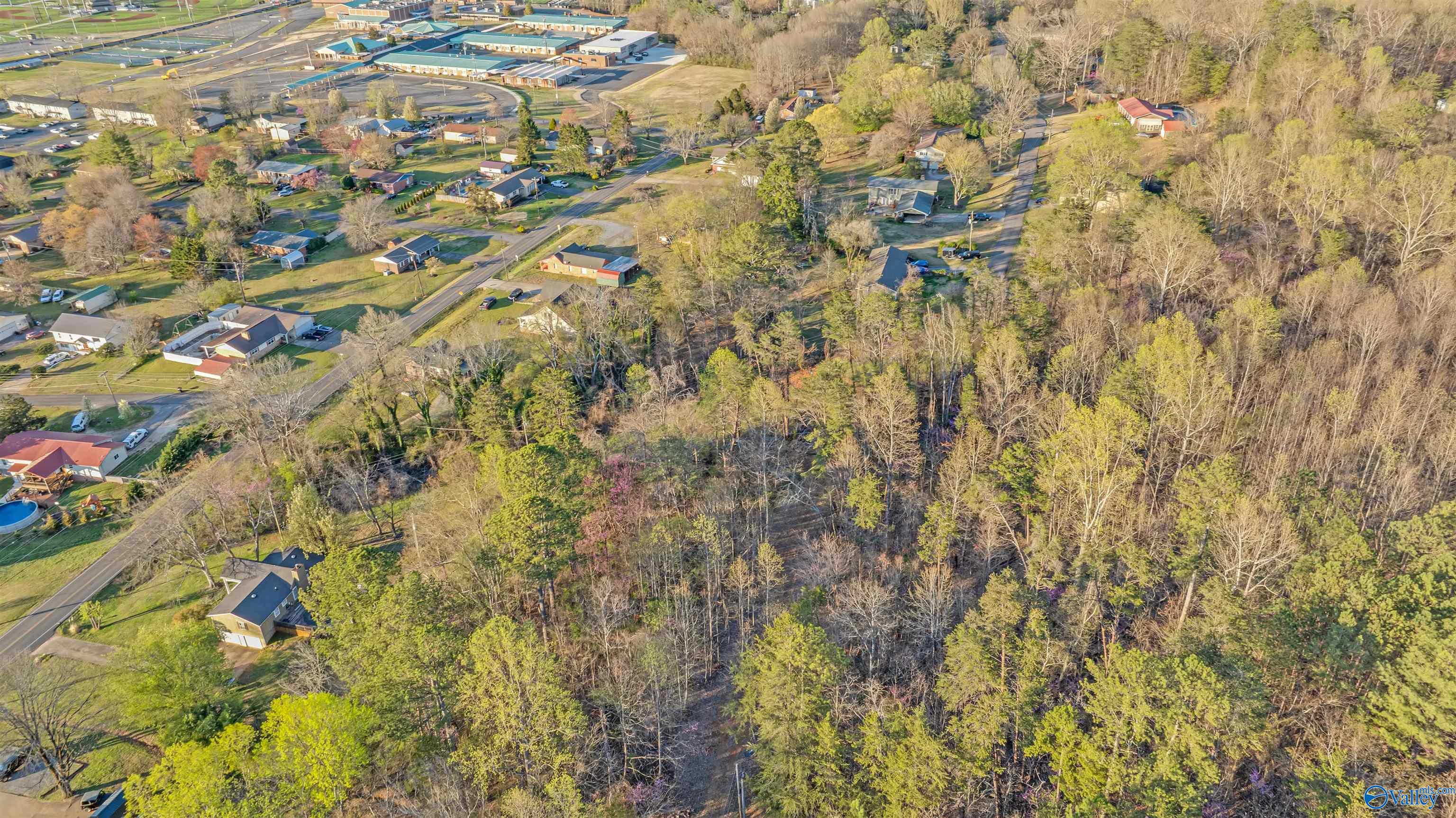 Aerial view of a wooded parcel among neighborhood homes and streets.