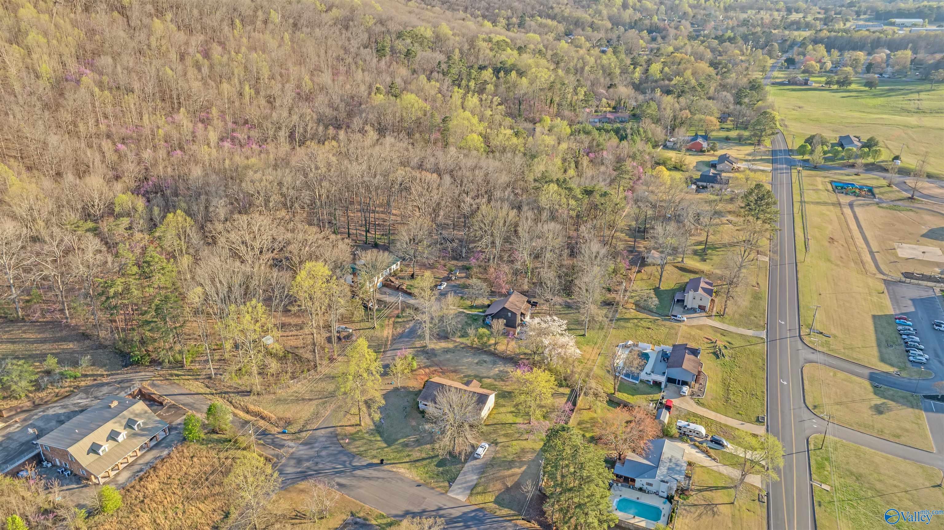 Aerial view of wooded land beside a road, with nearby homes and open lawns.