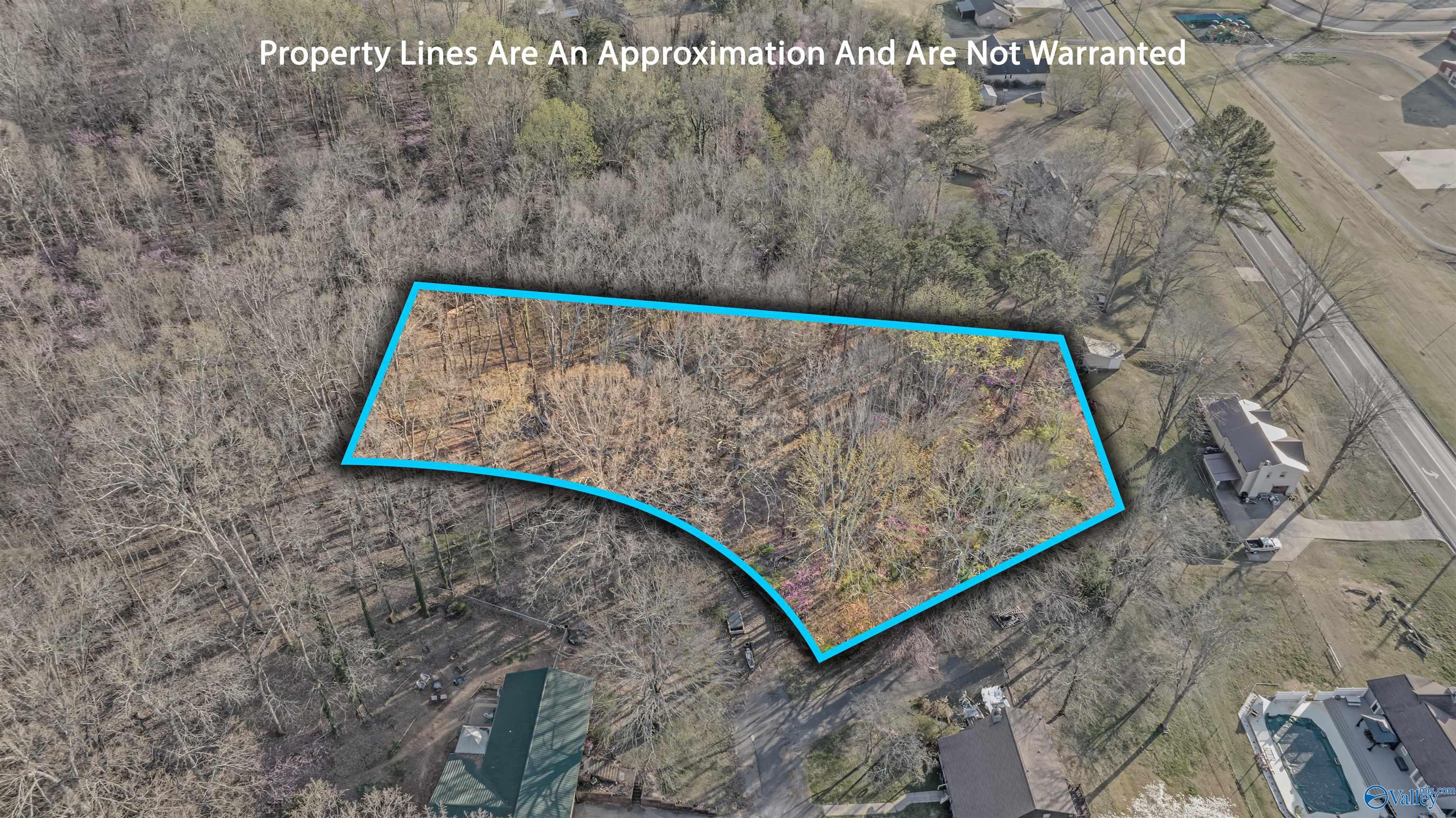 Aerial view of wooded lots outlined in blue beside a road and neighboring homes.