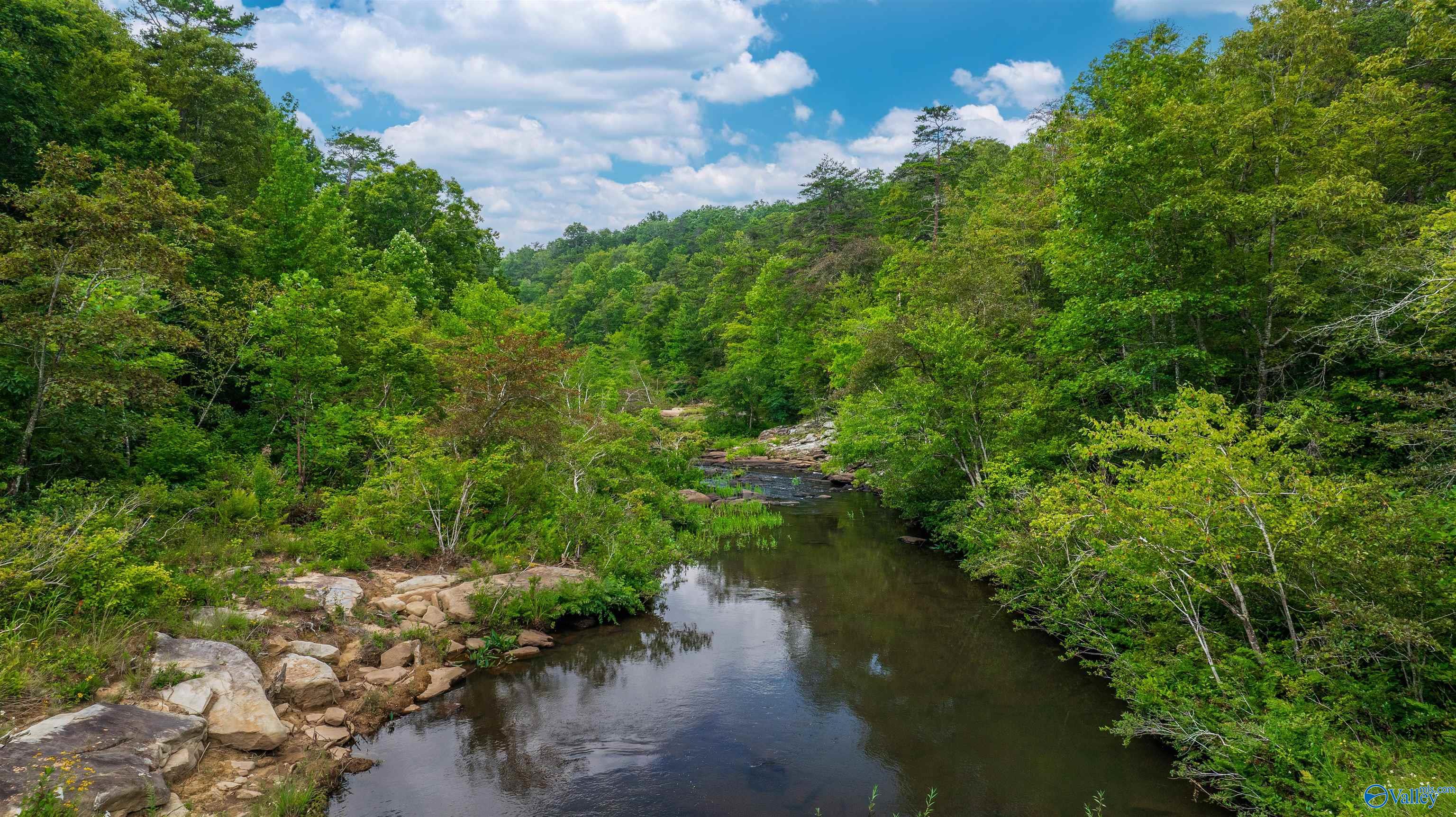 1245 County Road 633