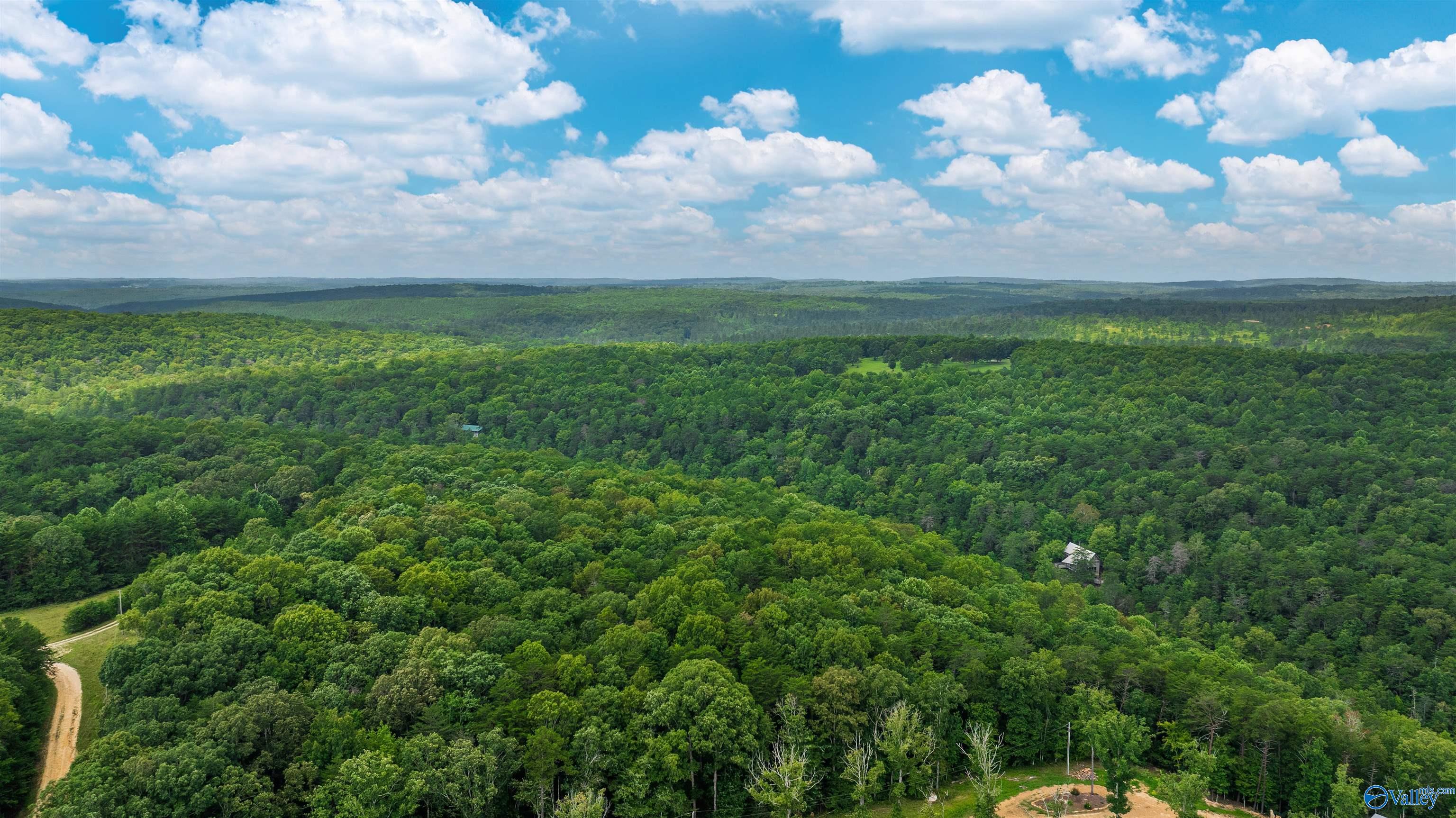 1245 County Road 633