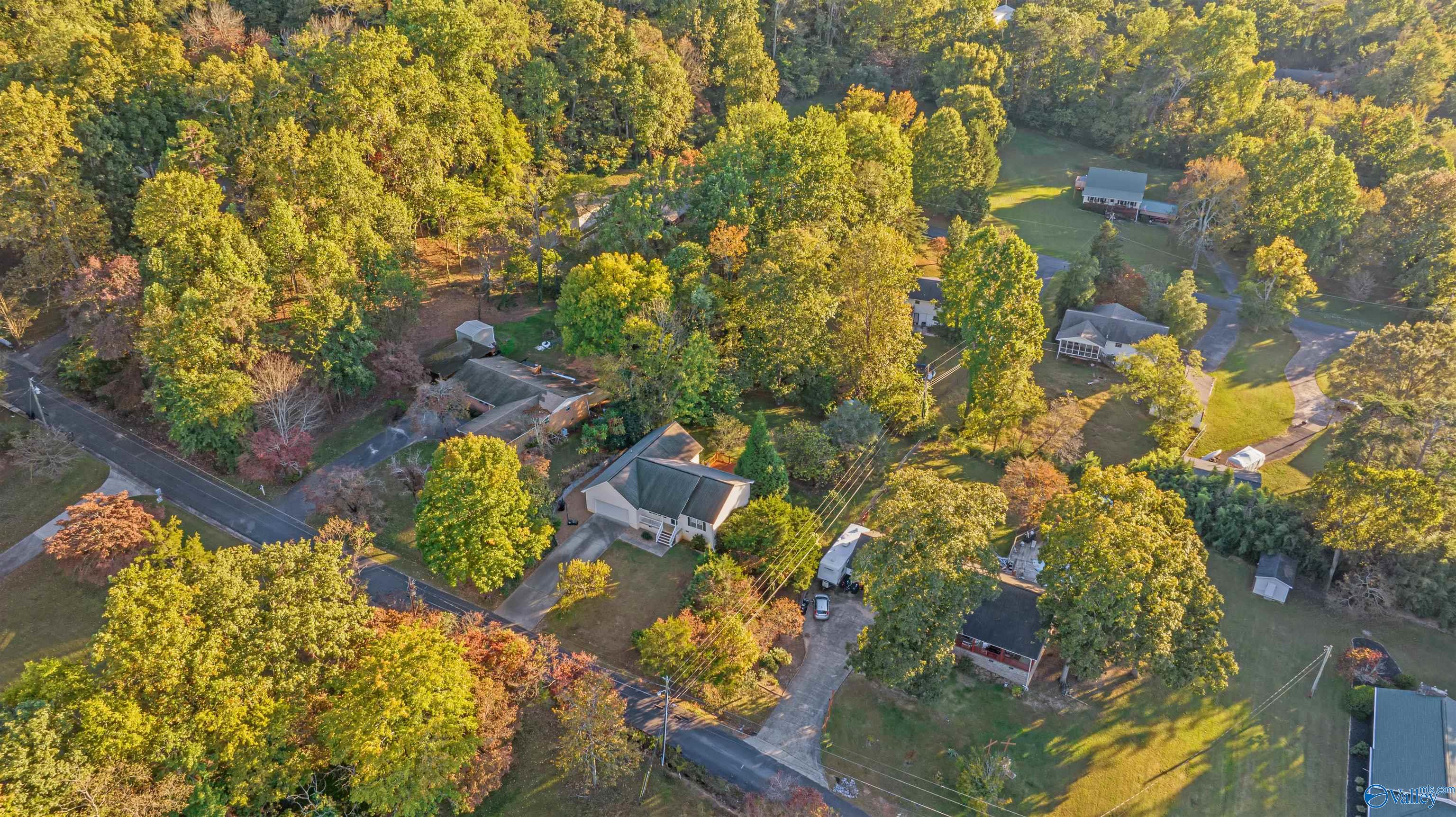 Aerial view of a home among mature autumn trees, with neighboring houses and a curved driveway.