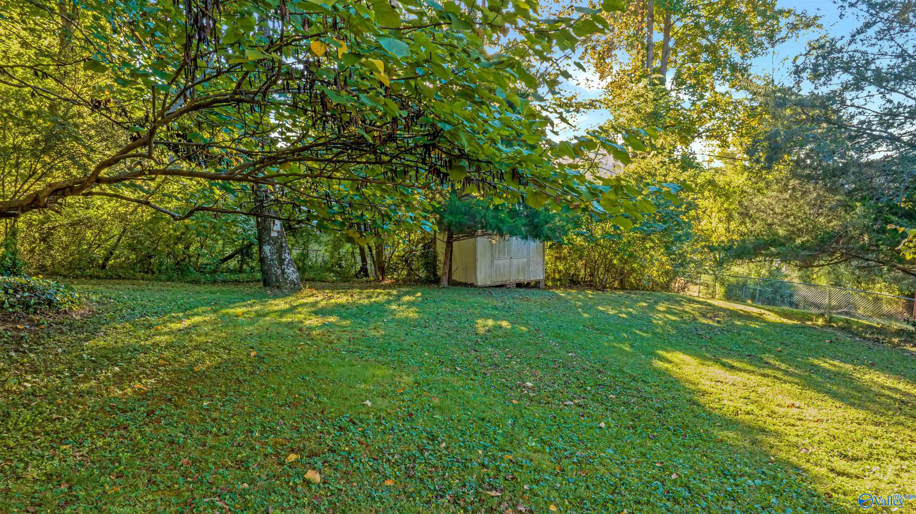 Grassy backyard shaded by mature trees, with a small shed and chain-link fence.