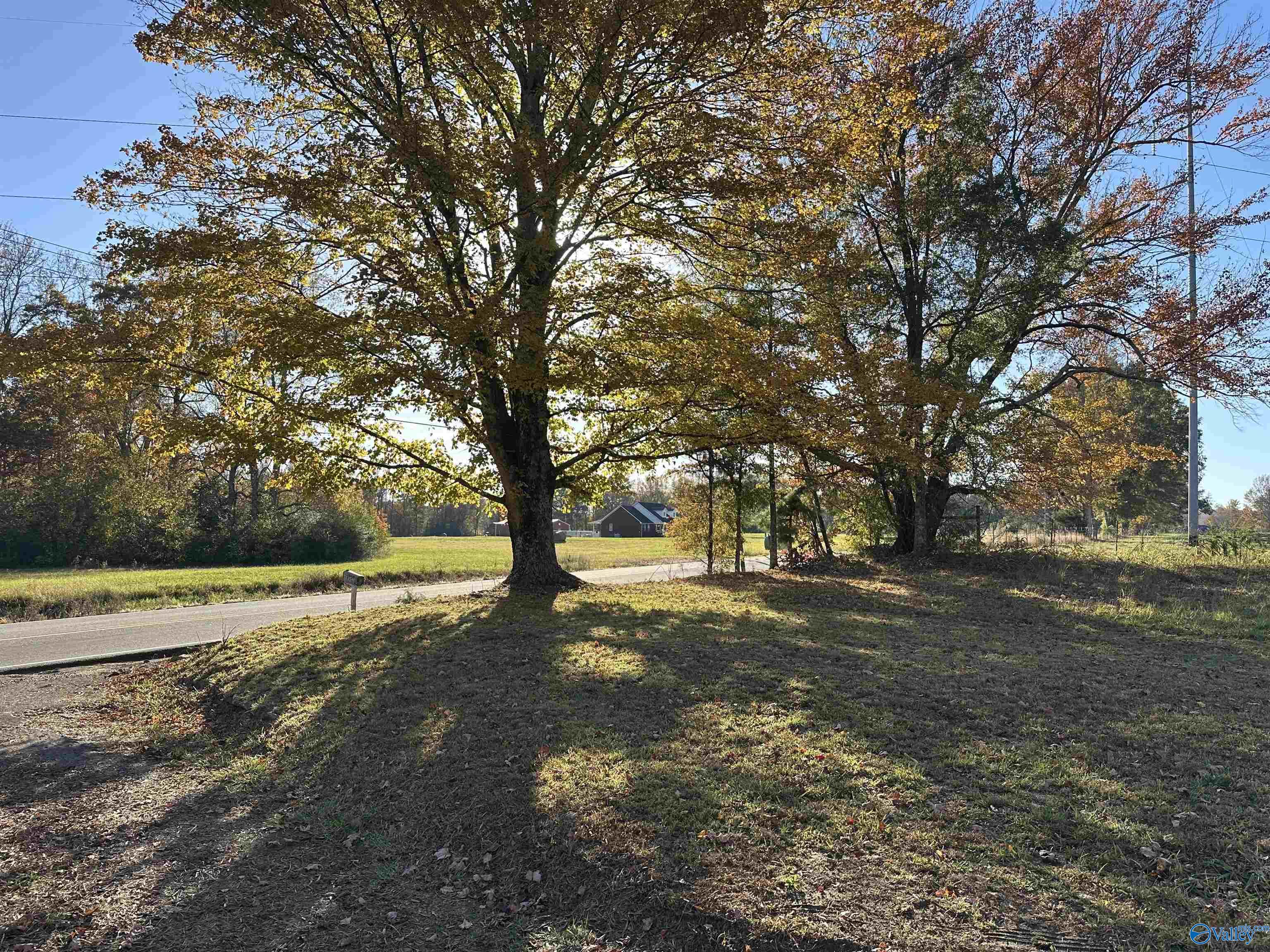 3839 County Road 88