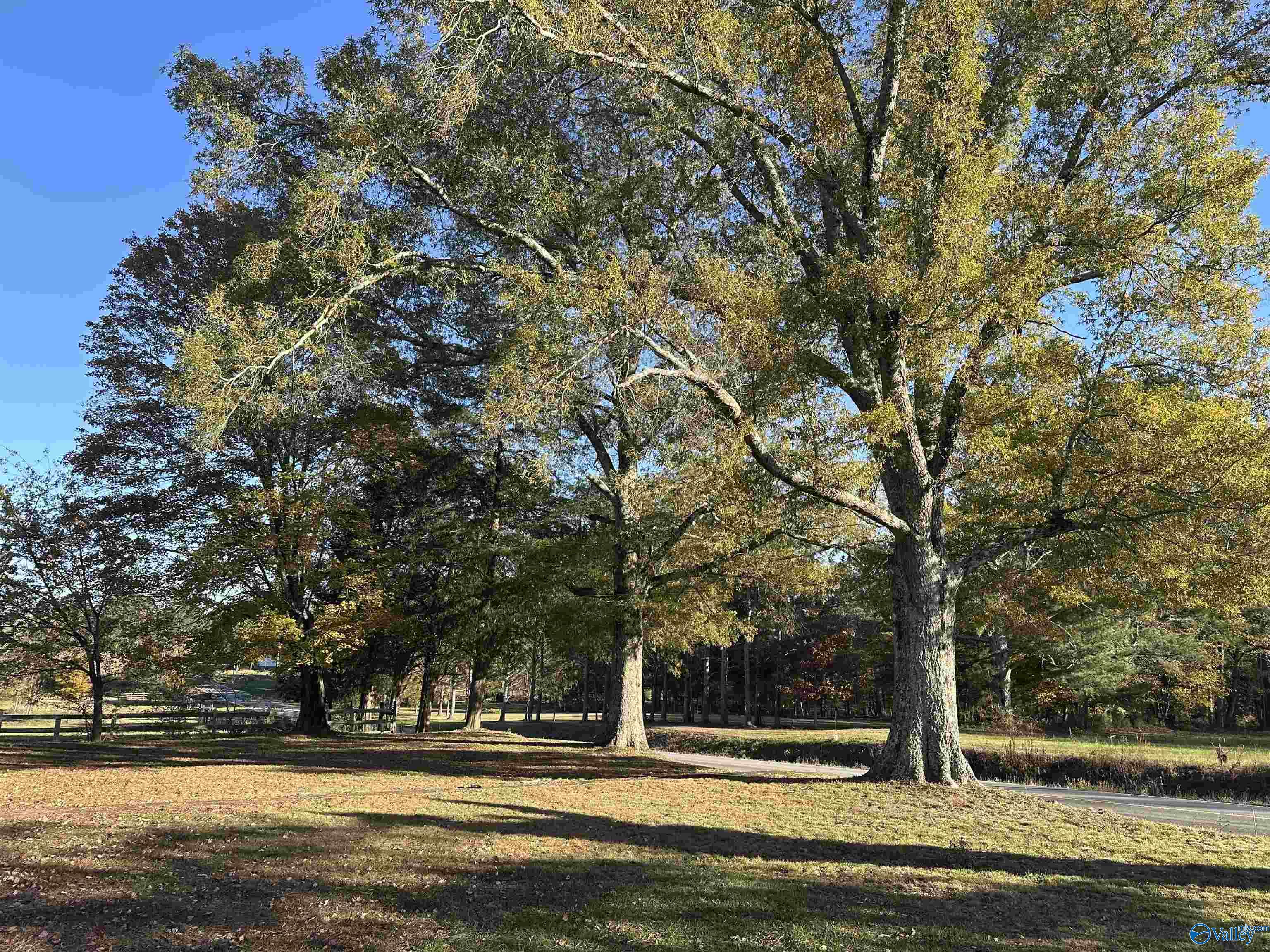 3839 County Road 88