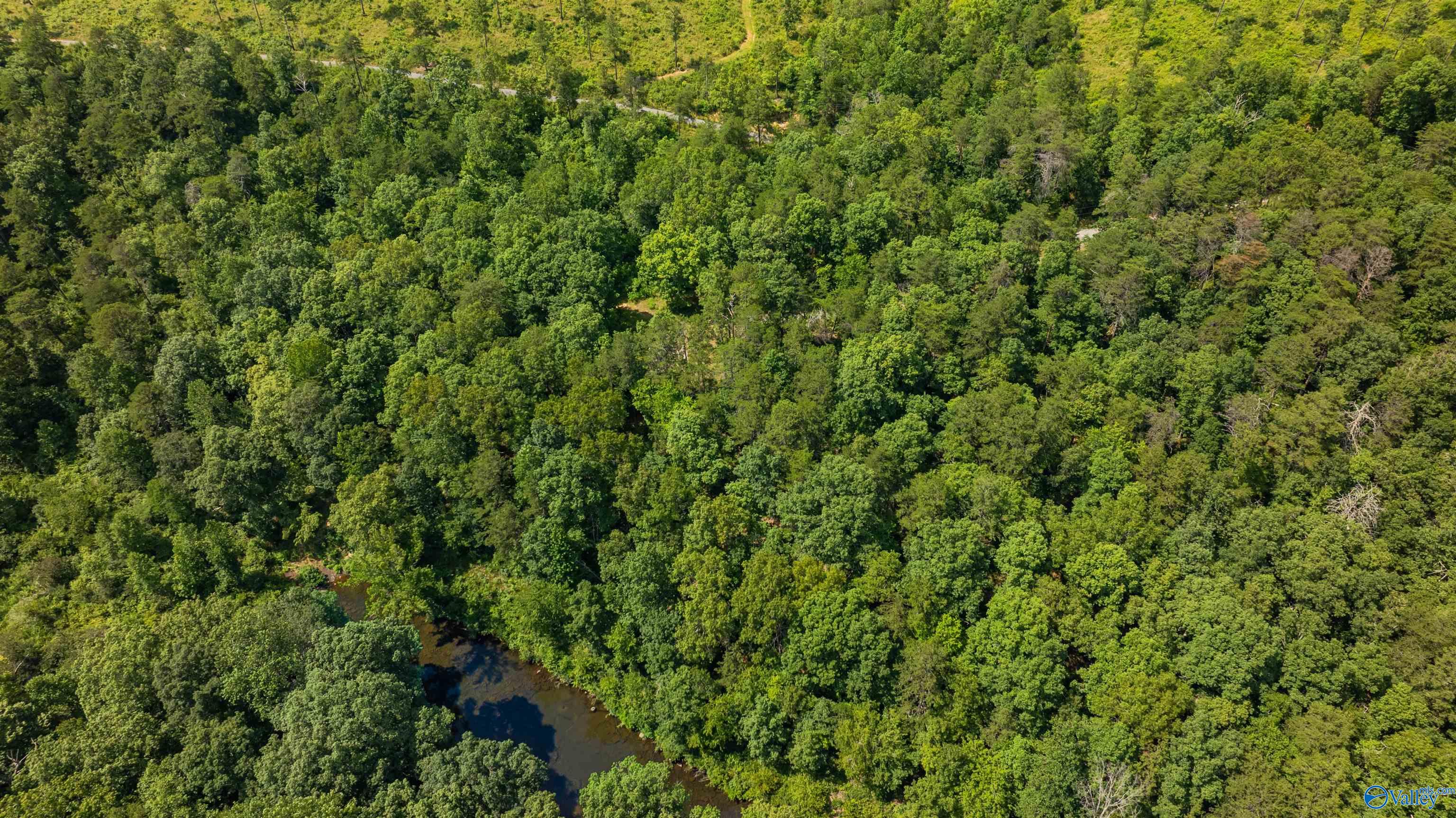 Aerial view of wooded acreage with a creek winding through the trees.
