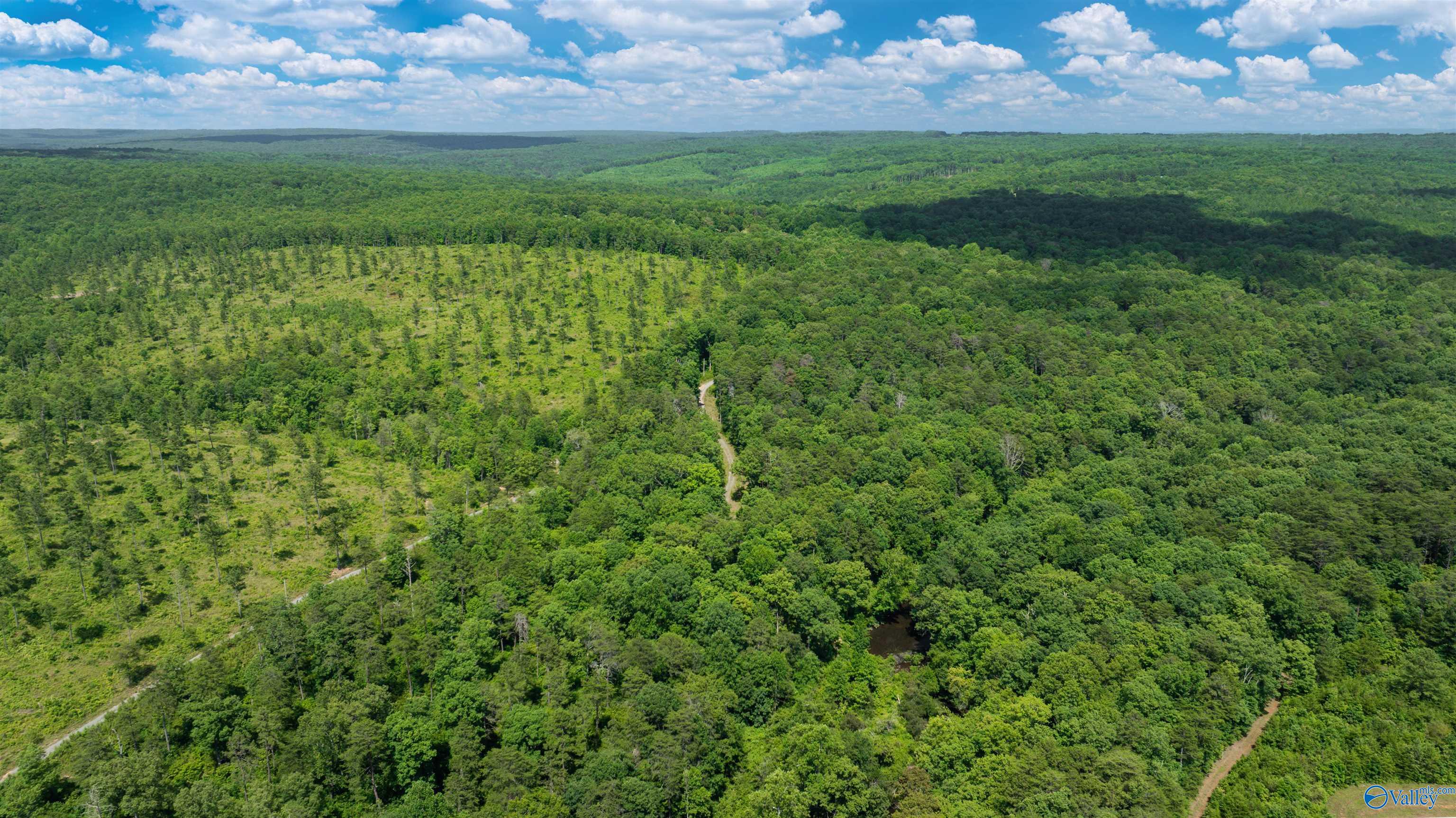 Aerial view of wooded acreage with a clearing, winding dirt tracks, and a small pond.
