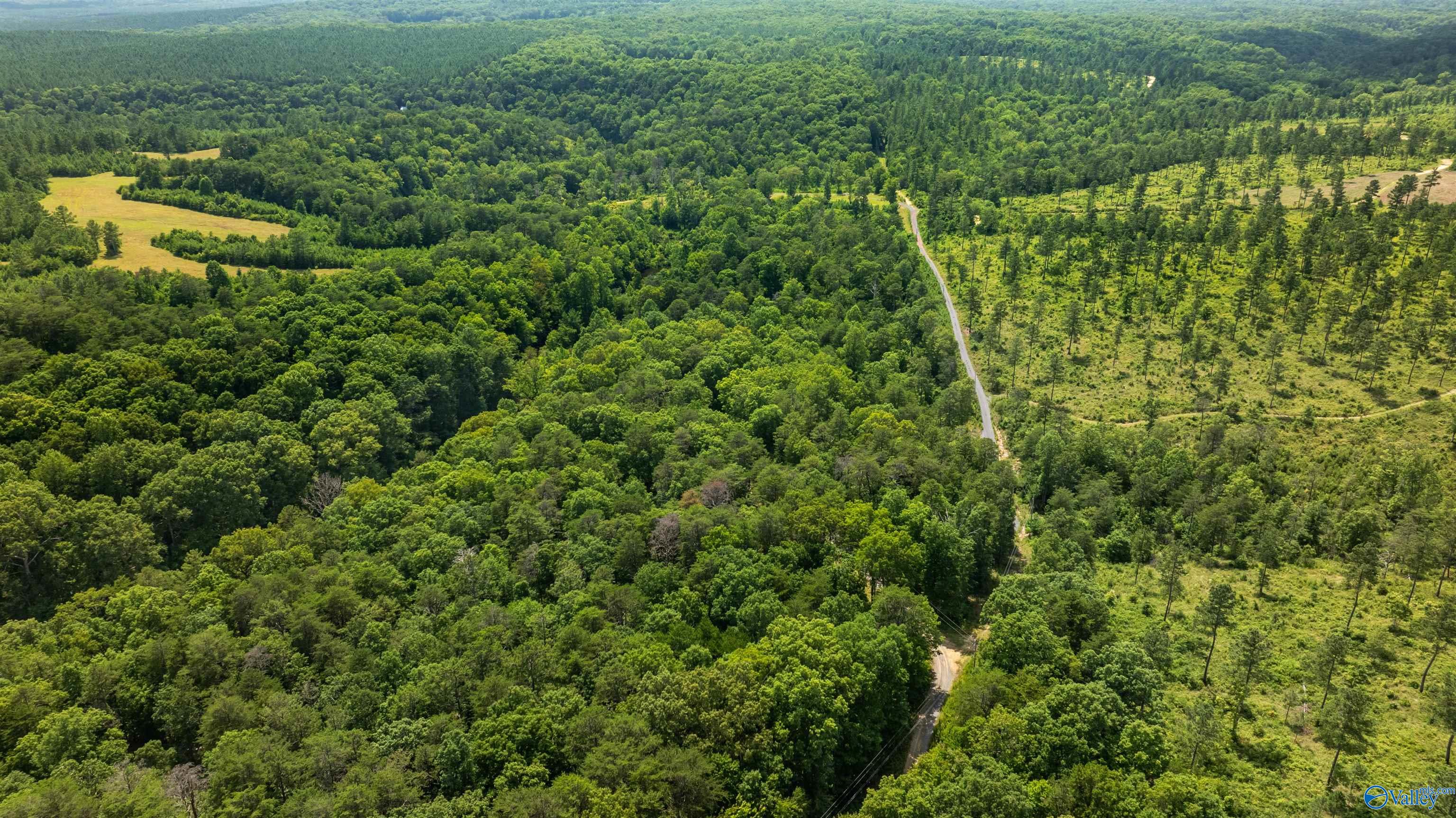 Aerial view of wooded acreage with a winding road and open clearings.