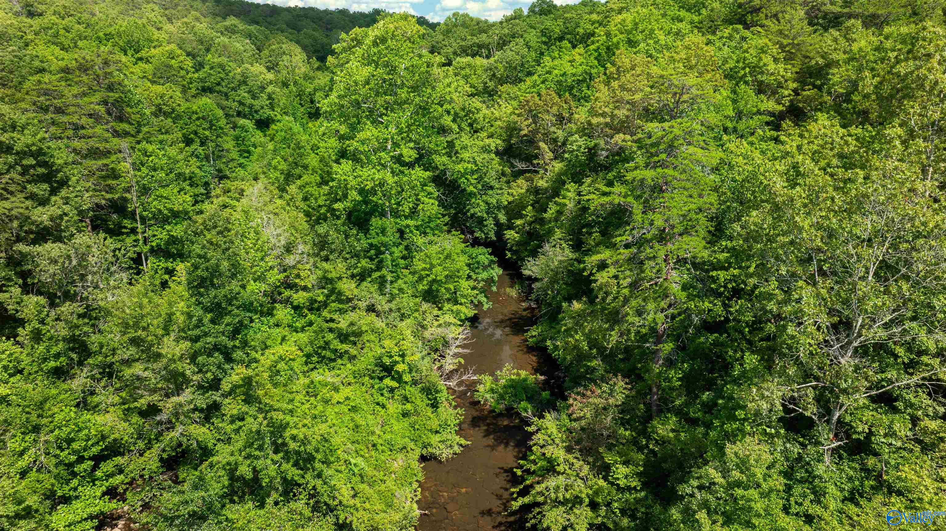 Aerial view of a wooded property with a creek winding through dense green trees.