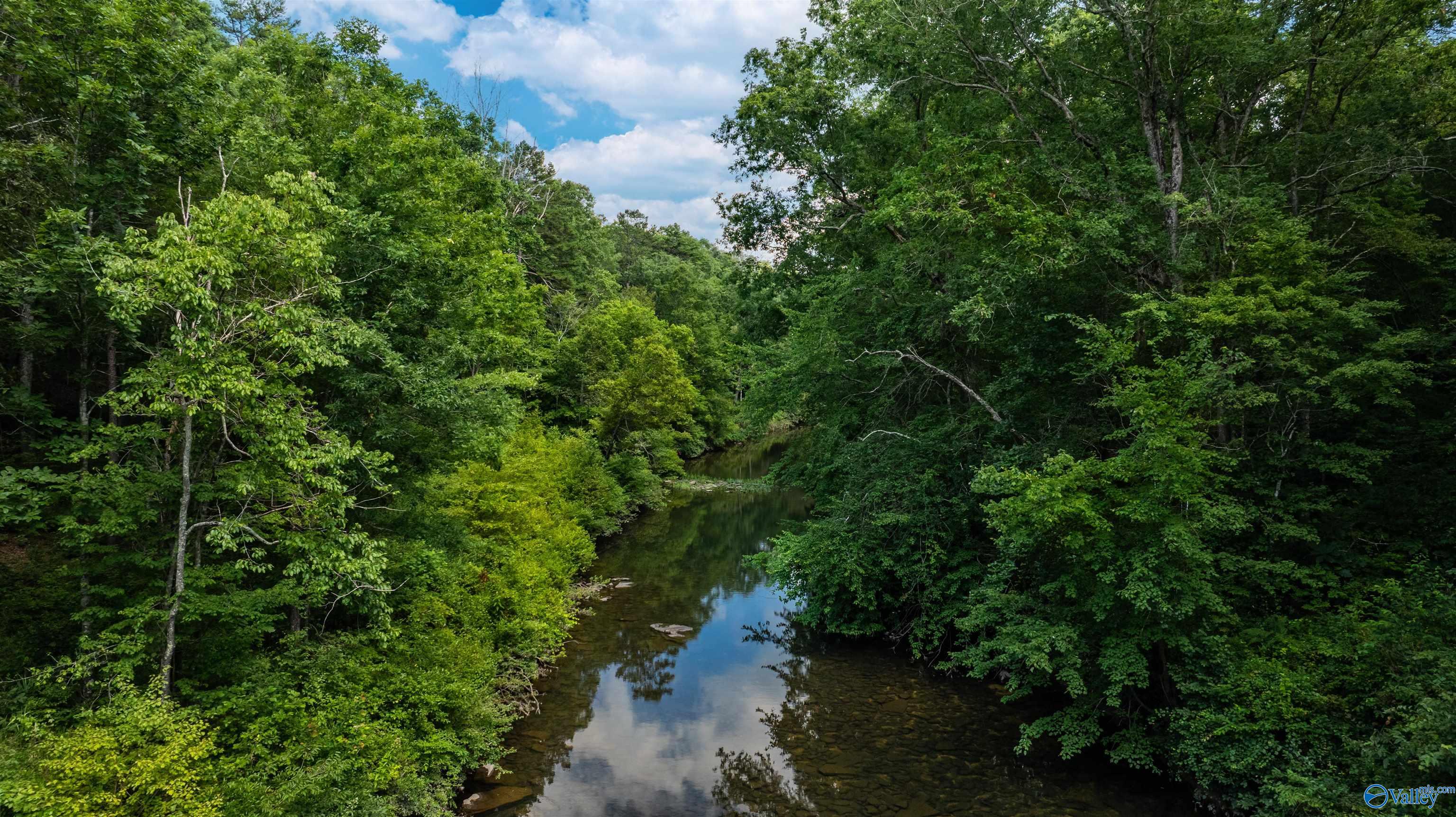 Wooded acreage with a clear creek winding beneath a blue summer sky.