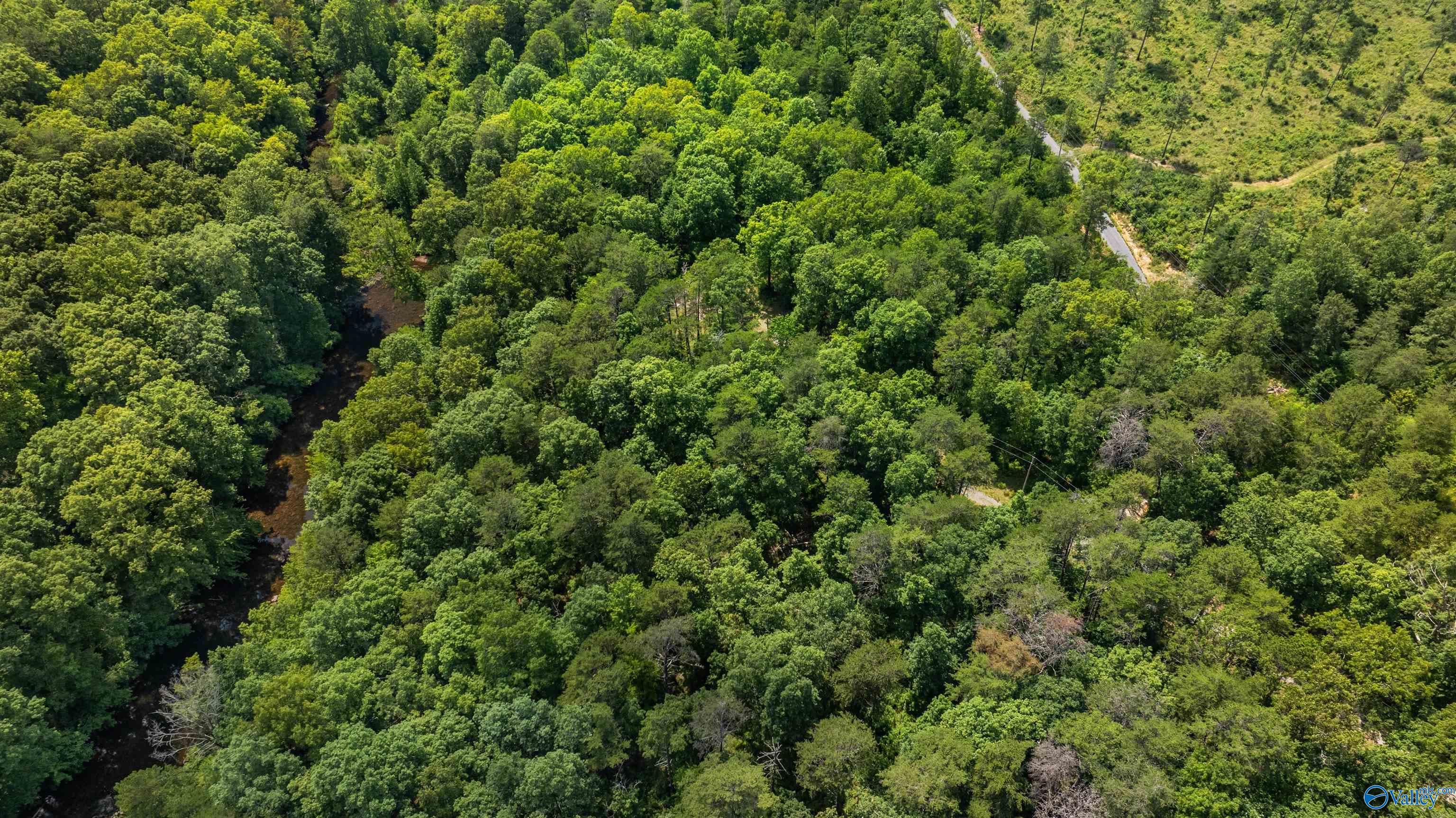 Aerial view of wooded acreage with a winding creek and a road along its edge.