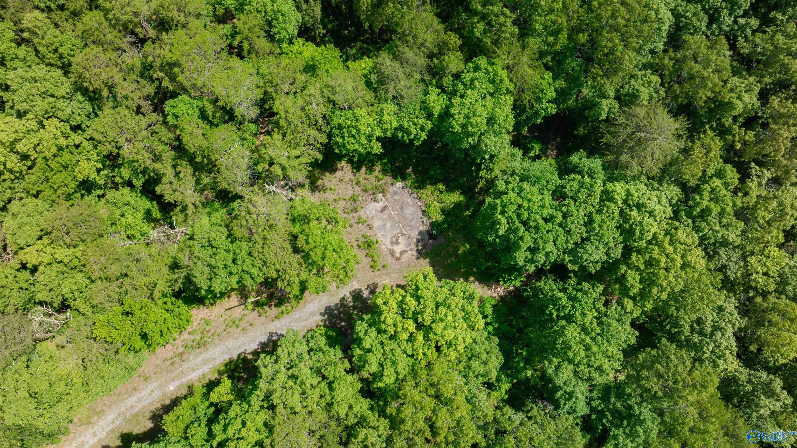 Aerial view of wooded acreage with a central clearing and winding access track.