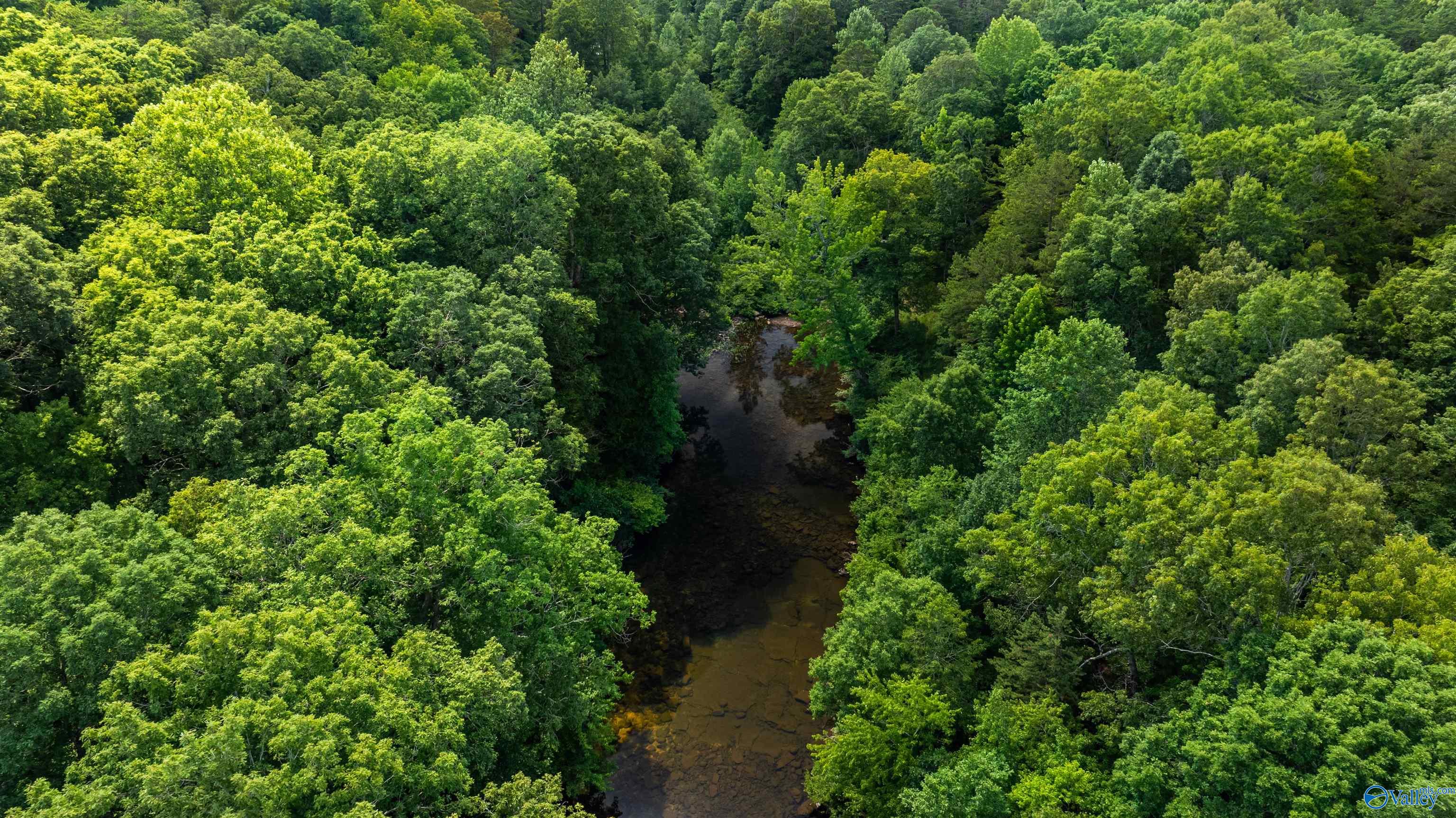 Aerial view of a creek winding through densely wooded acreage.