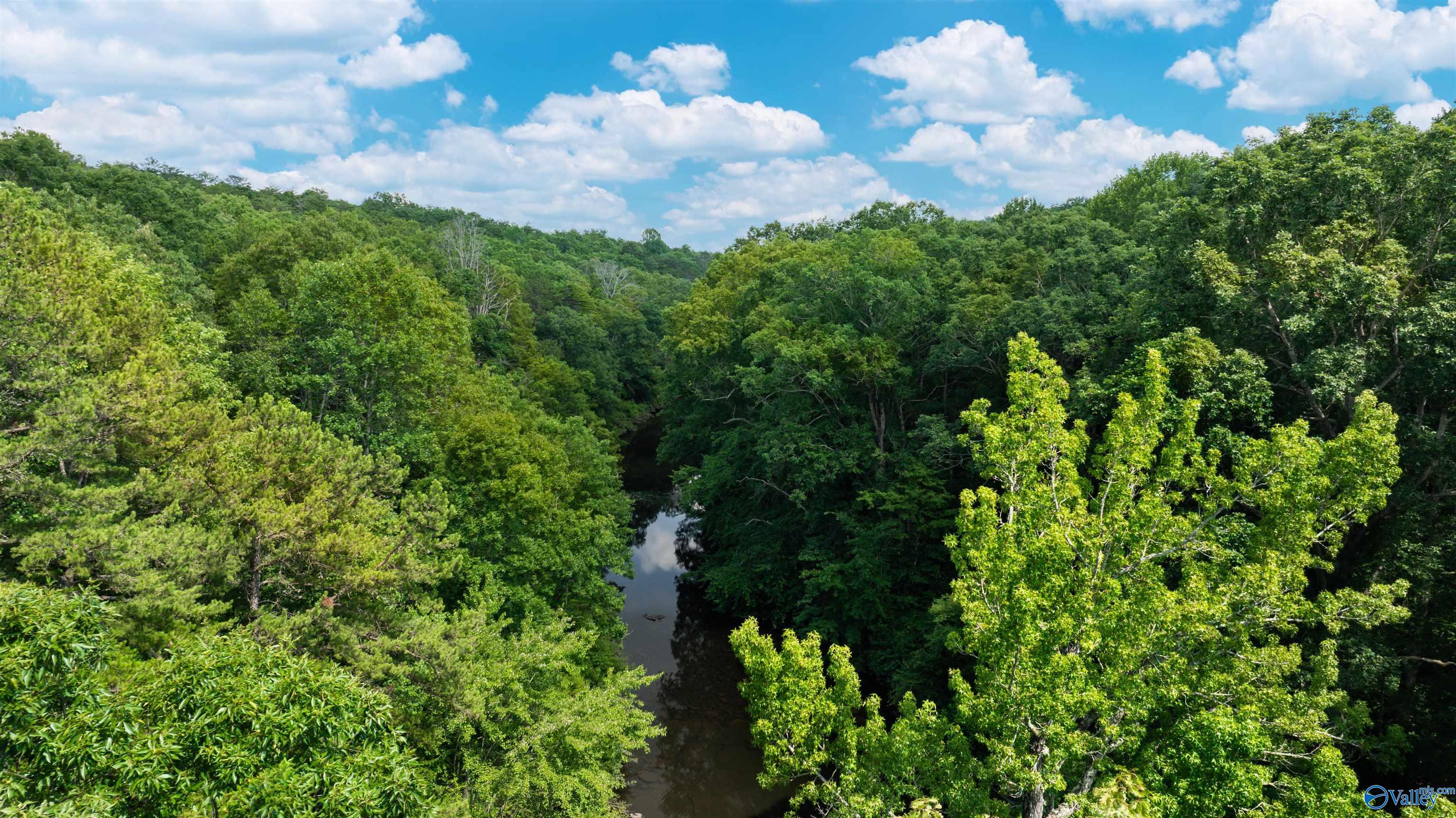 Aerial view of wooded acreage with a creek winding through dense green forest.