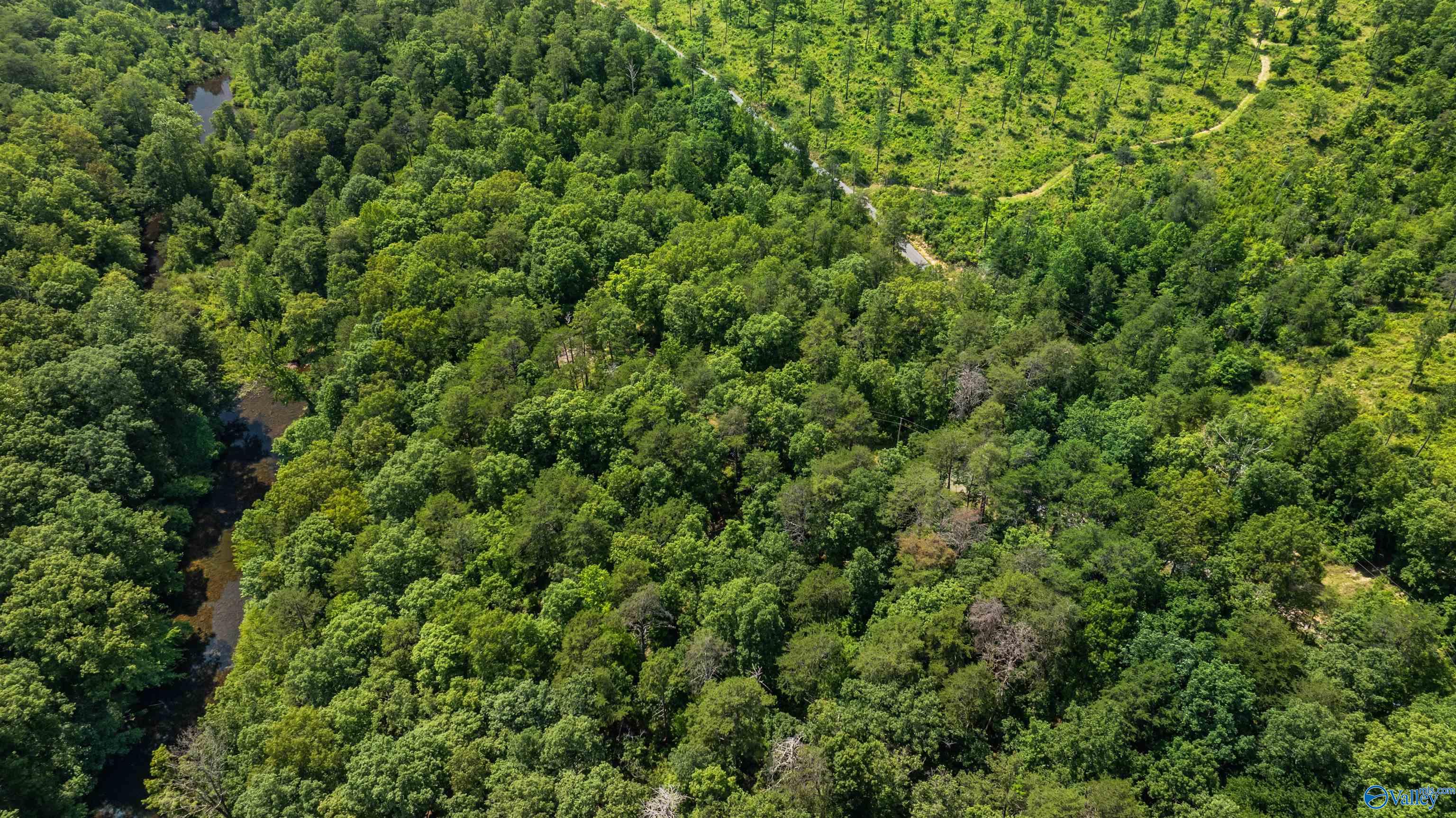 Aerial view of dense woodland with a creek and winding access track.