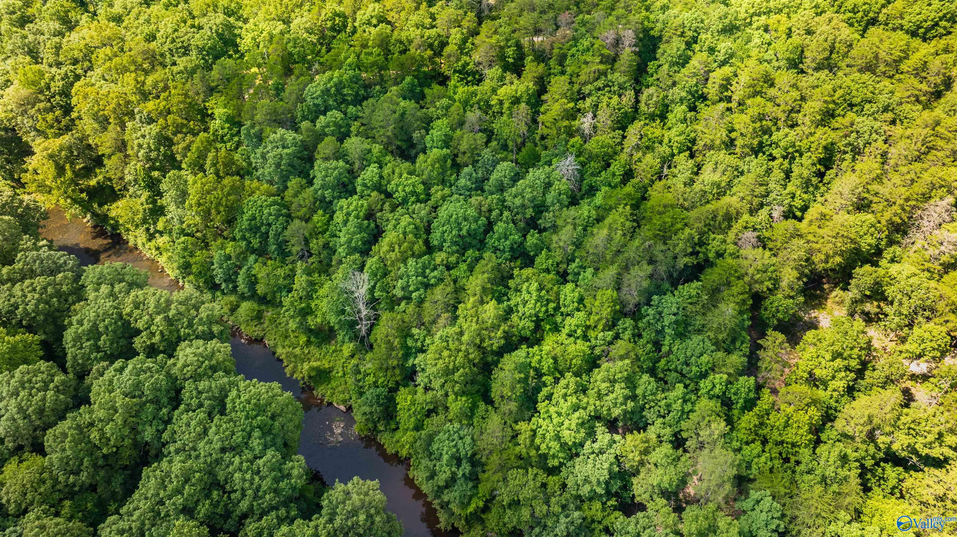 Aerial view of dense woodland and a winding creek on the 8.7-acre property.