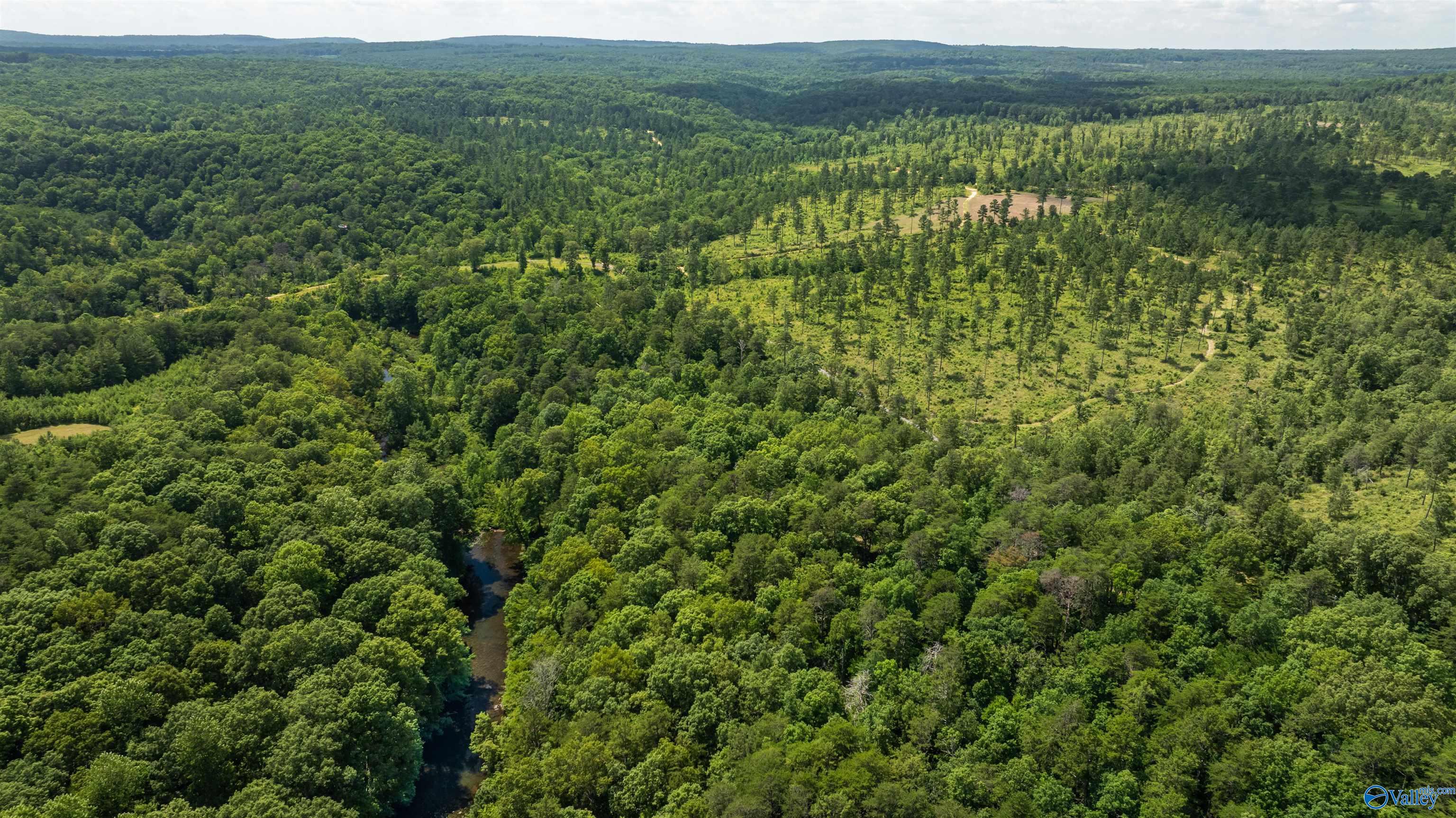 Aerial view of wooded acreage with a winding creek and a cleared pine grove.