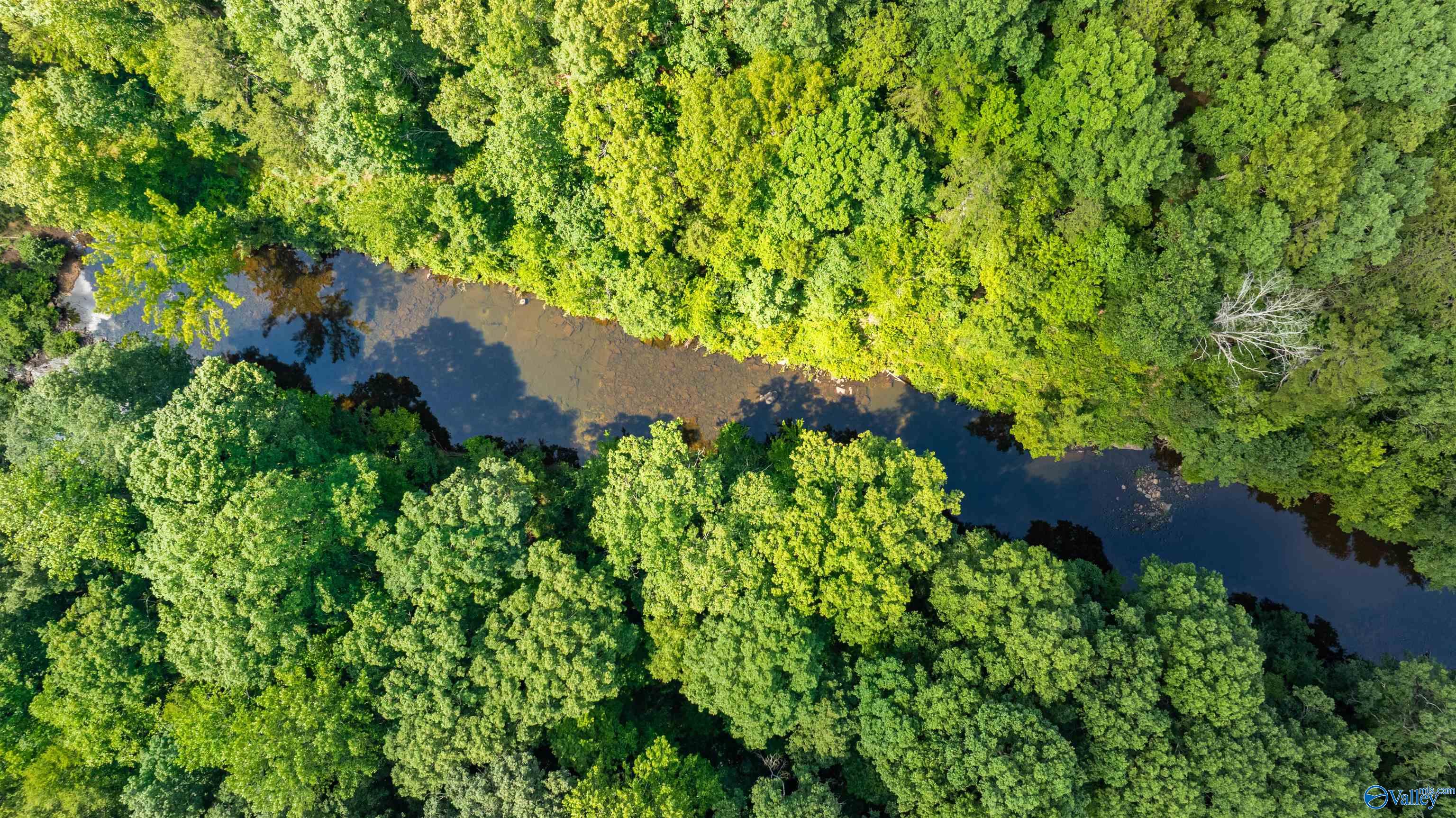 Aerial view of wooded acreage bisected by a winding river.
