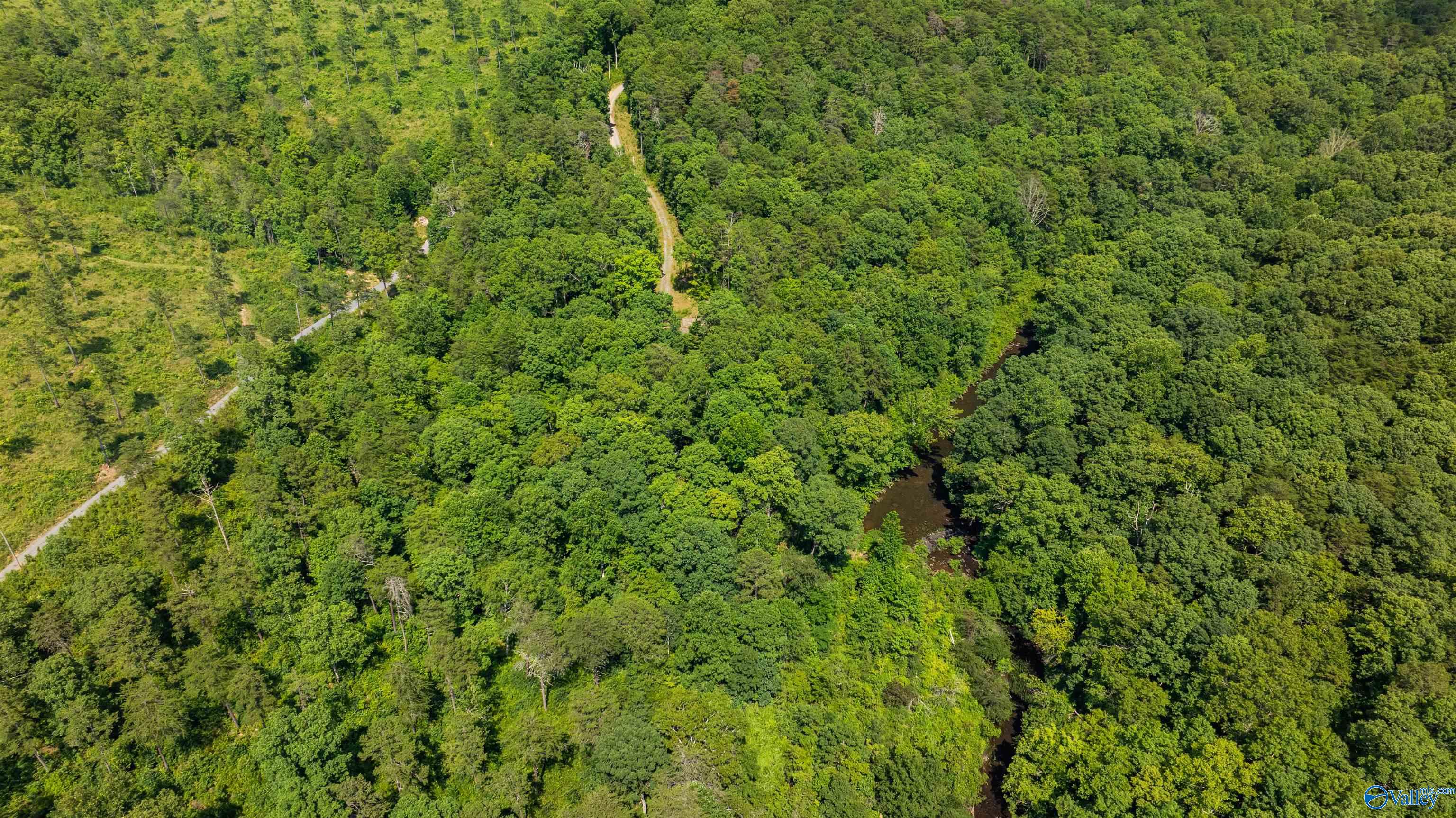 Aerial view of wooded acreage with a dirt track and creek.