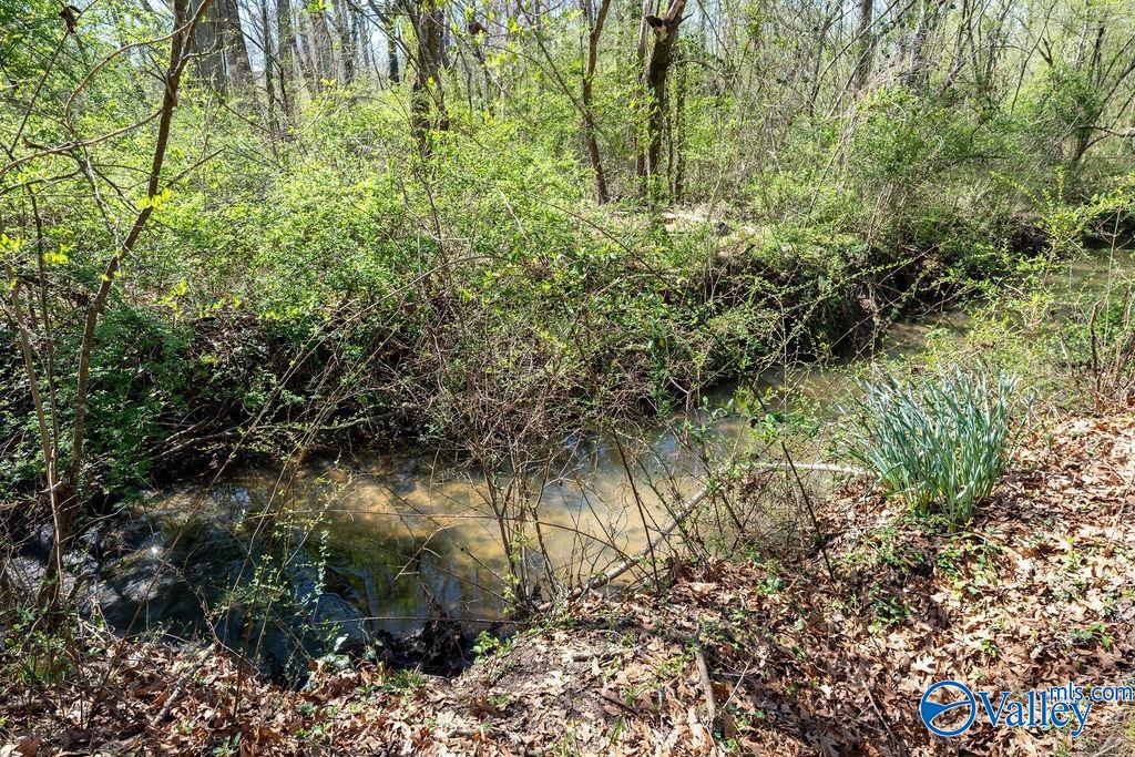 A shallow creek winds through leafy woodland beside a leaf-covered bank.