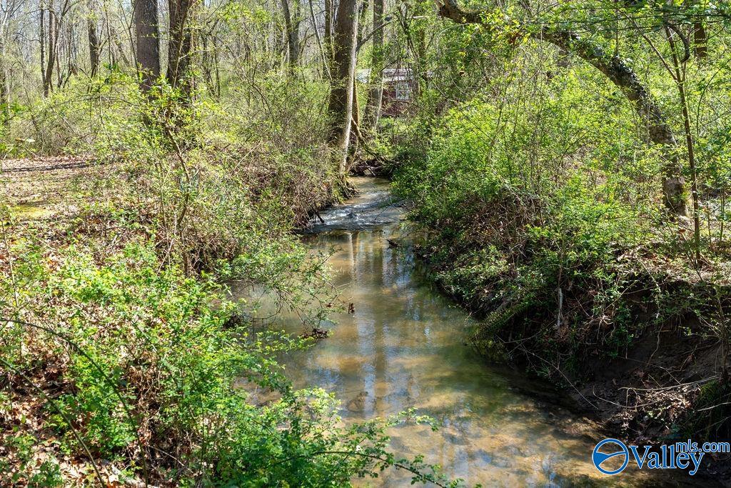 Wooded creek with clear shallow water flowing between leafy banks.