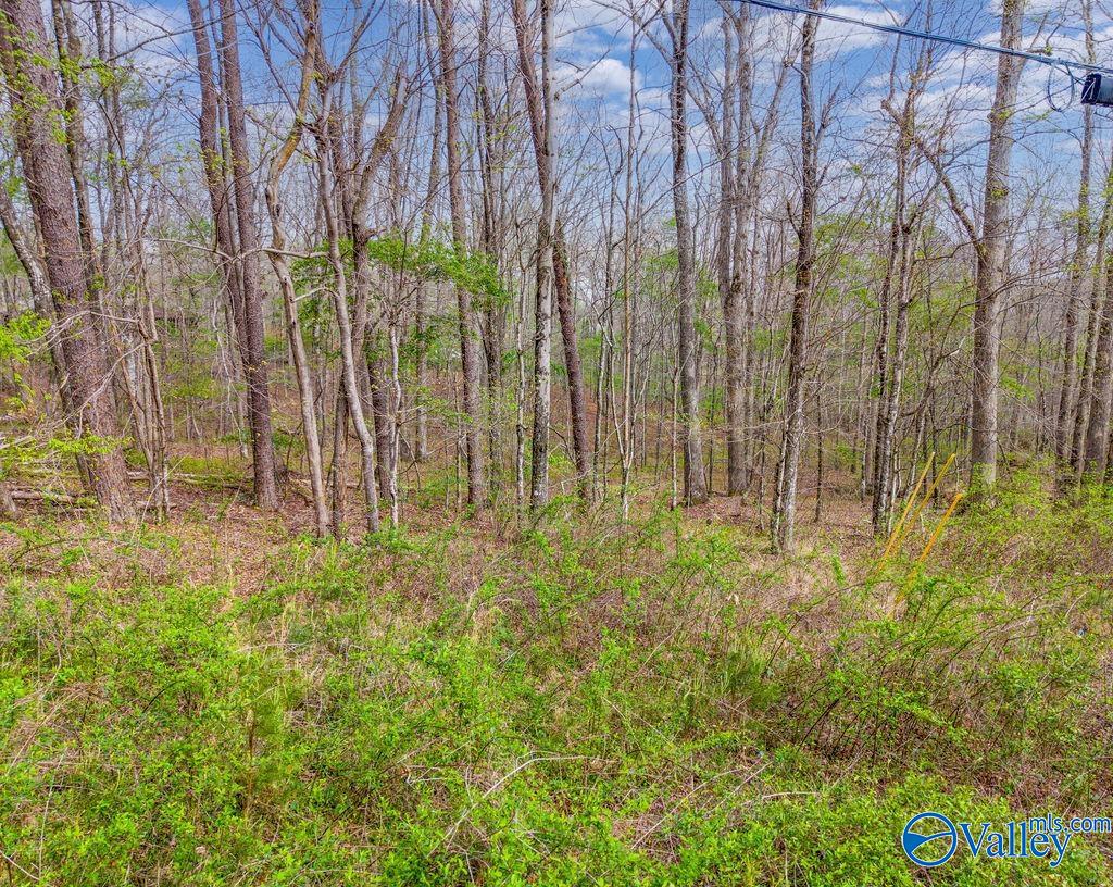 1.7 ACRES County Road 635
