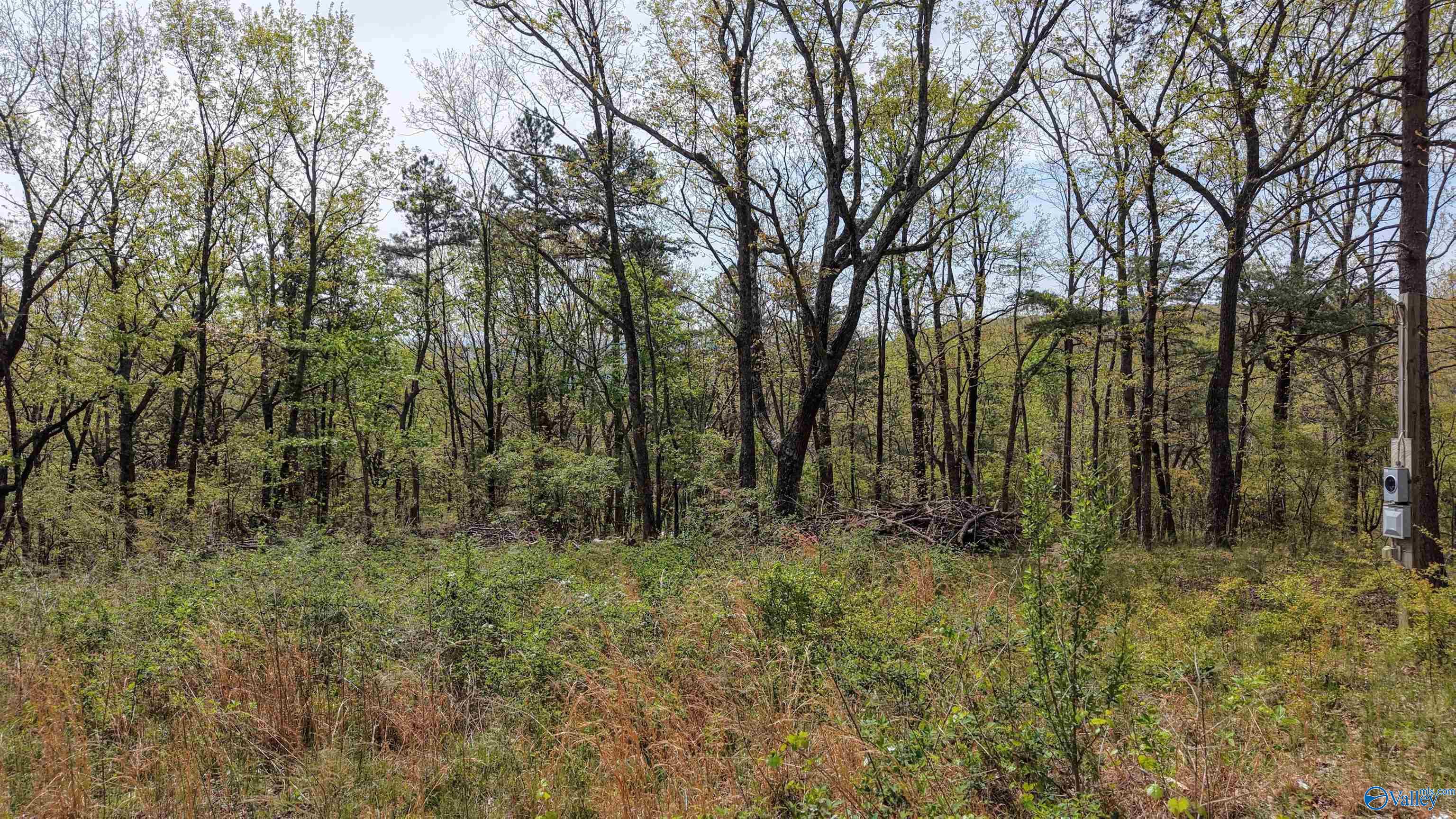 237 County Road 844