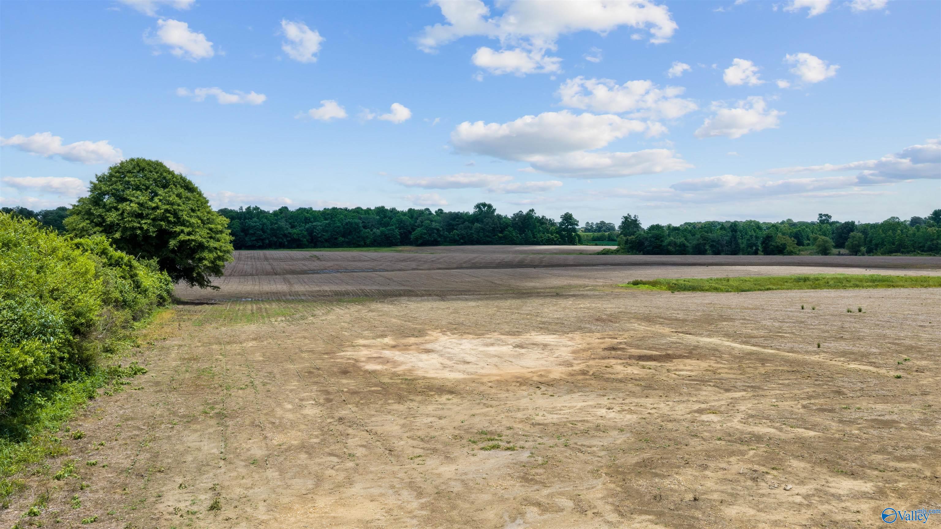 Cleared acreage with worked soil, a leafy tree, and a distant tree line.