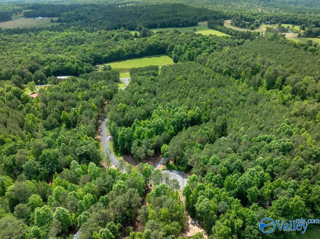 165 County Road 1035