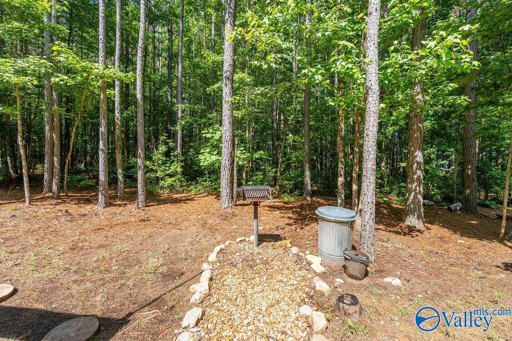 165 County Road 1035