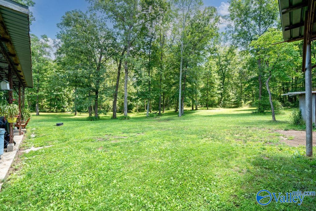 Grassy yard shaded by mature trees, framed by the covered sides of the home.