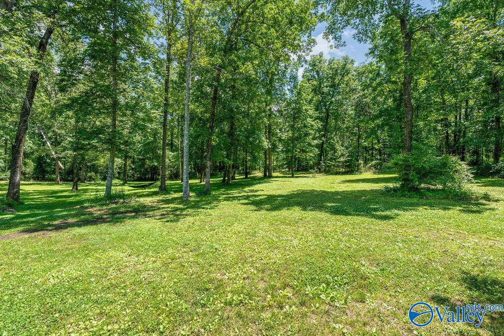 Grassy clearing surrounded by mature trees at 3519 Alabama Highway 117.