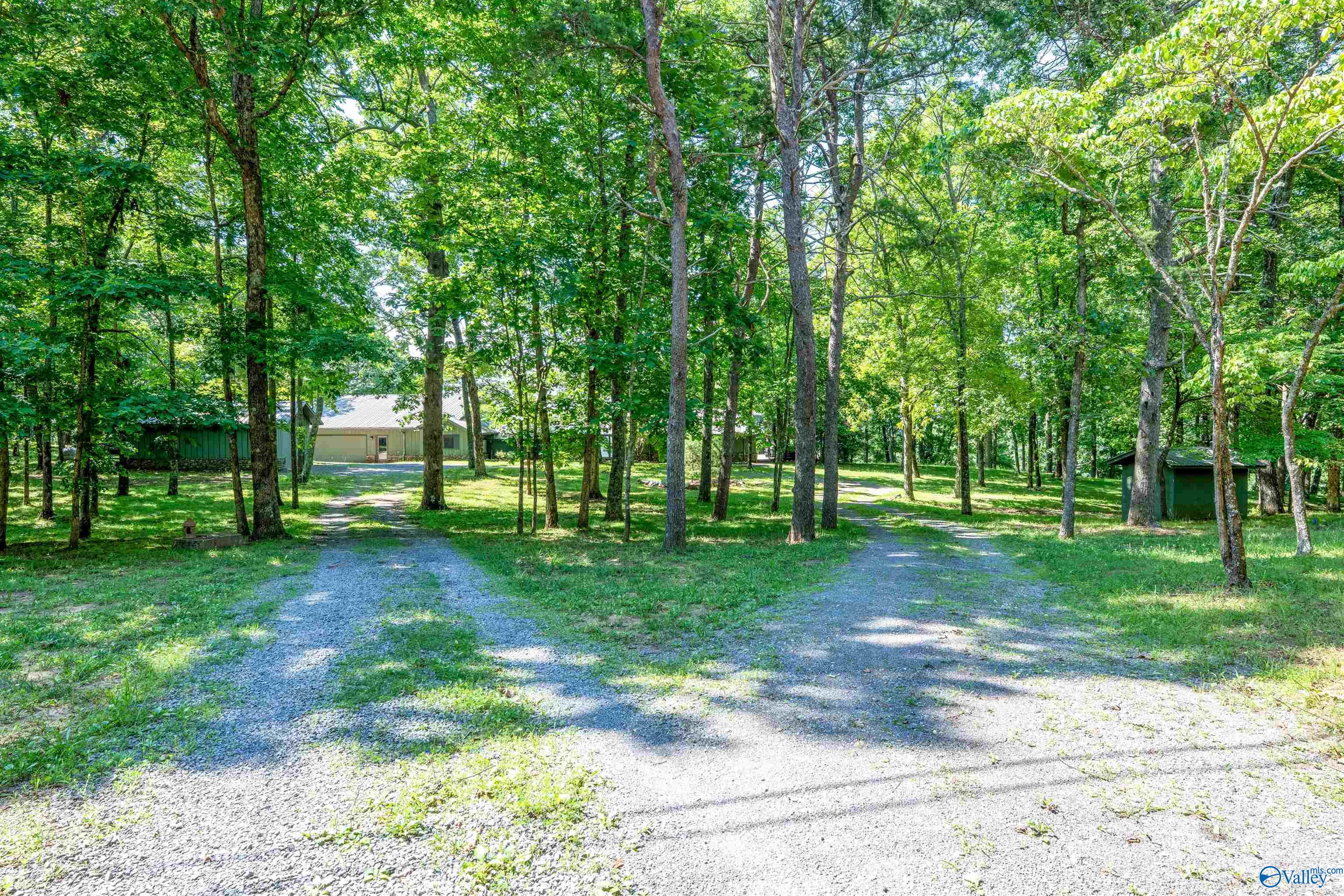 Gravel driveway branching through a wooded property toward a house and small outbuilding.