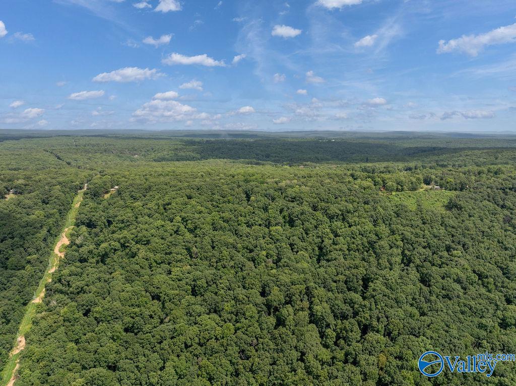 Aerial view of a densely wooded land parcel with a dirt access road and distant hills.