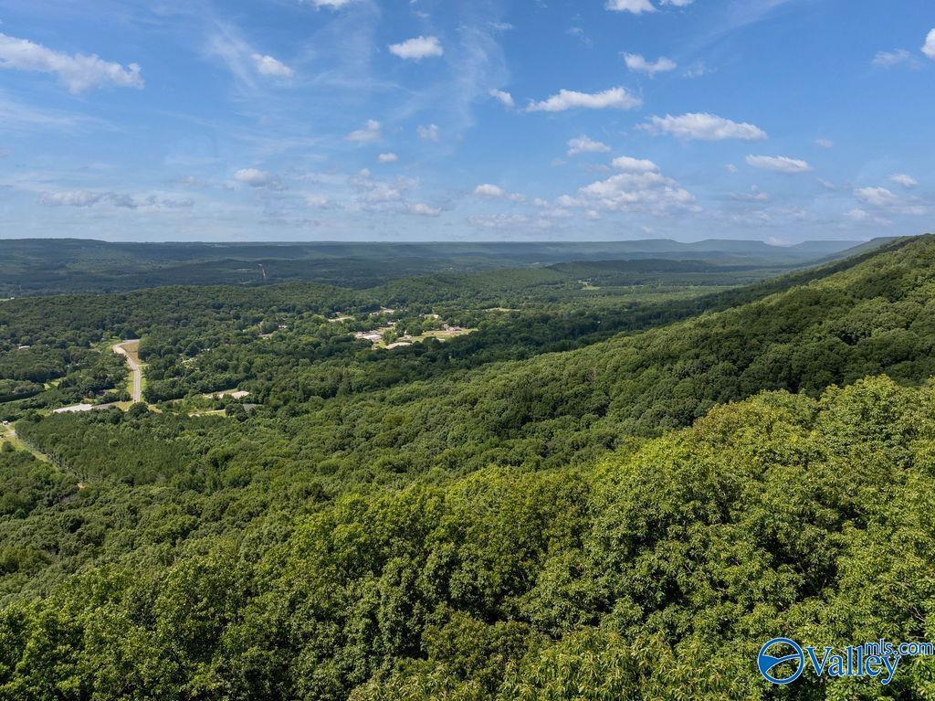 Aerial view of wooded hills and valley, with a winding road and distant buildings.