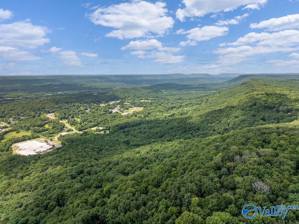 Aerial view over dense woodland toward a green valley and rolling hills.