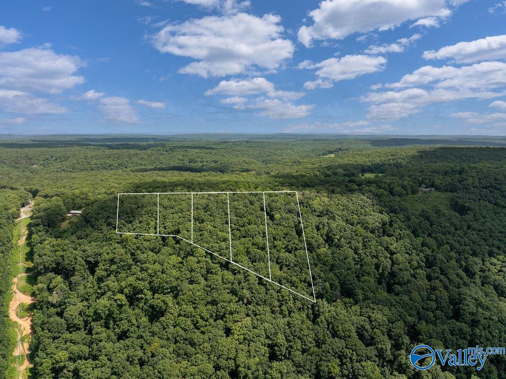 Aerial view of a wooded parcel outlined in white, divided into several lots amid dense forest.