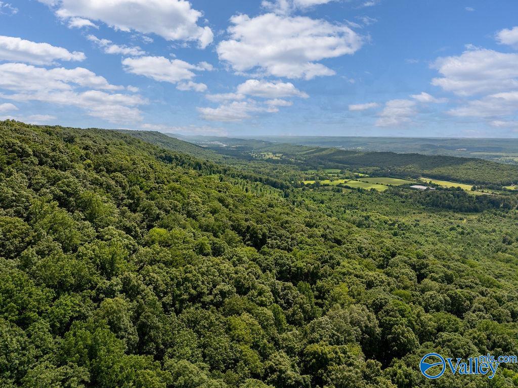 Aerial view across forested rolling hills toward a broad valley and scattered fields.
