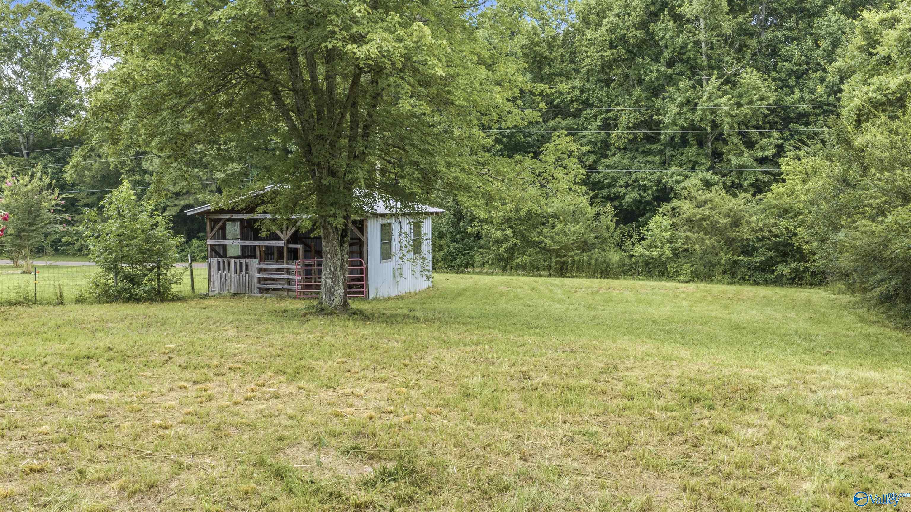 Small weathered outbuilding beneath a large tree in a grassy yard bordered by woodland.